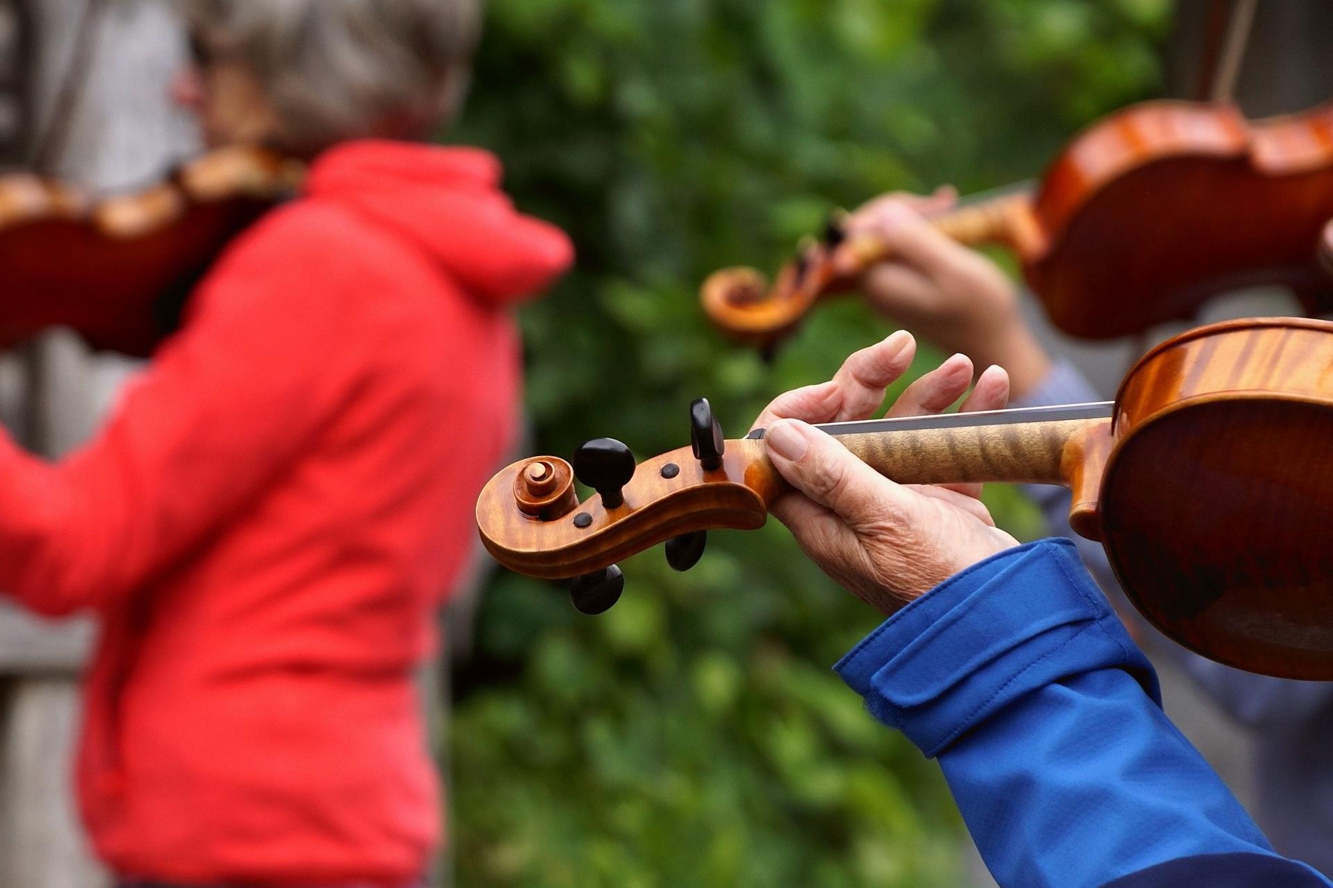 aprender violín