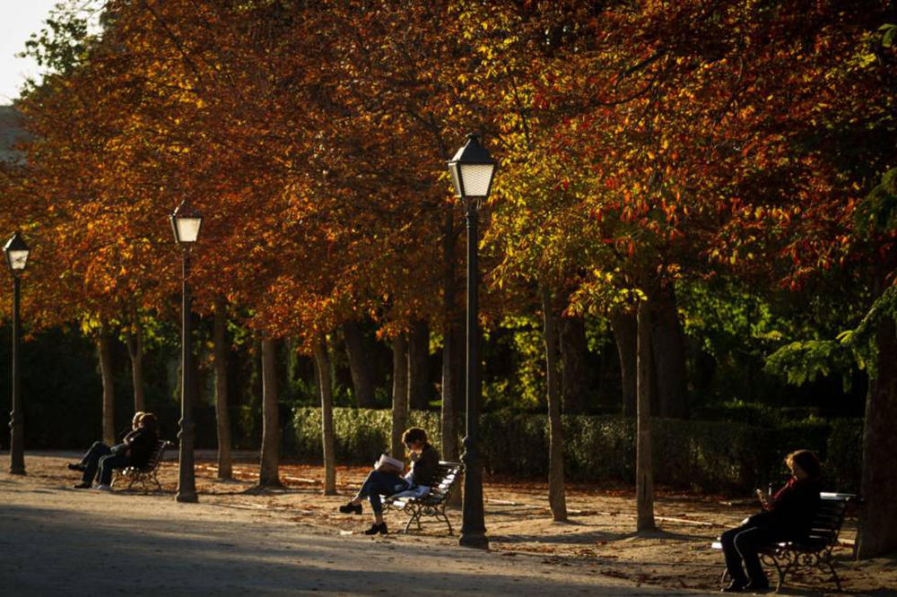 leer o estudiar al aire libre