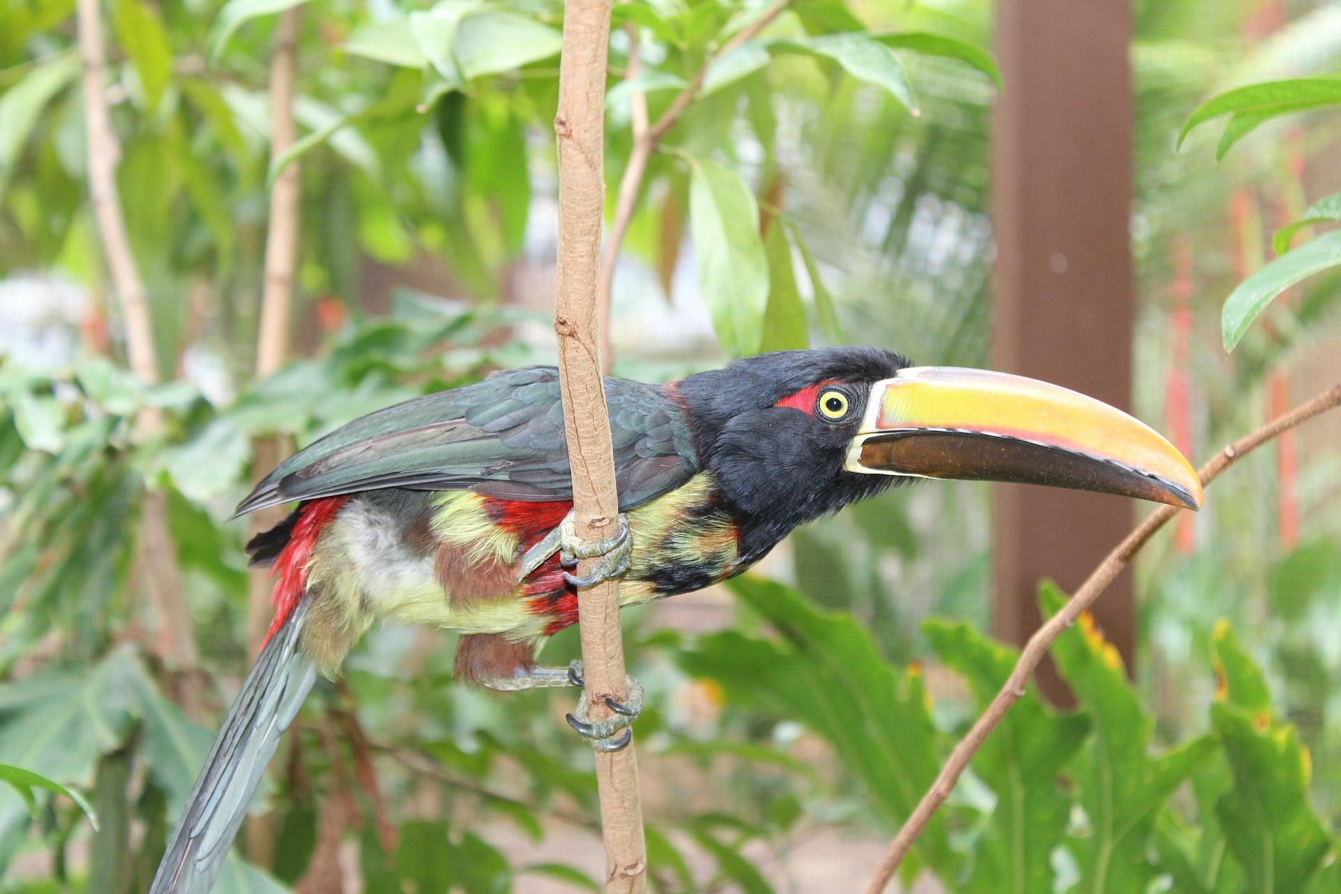 estudio de la naturaleza