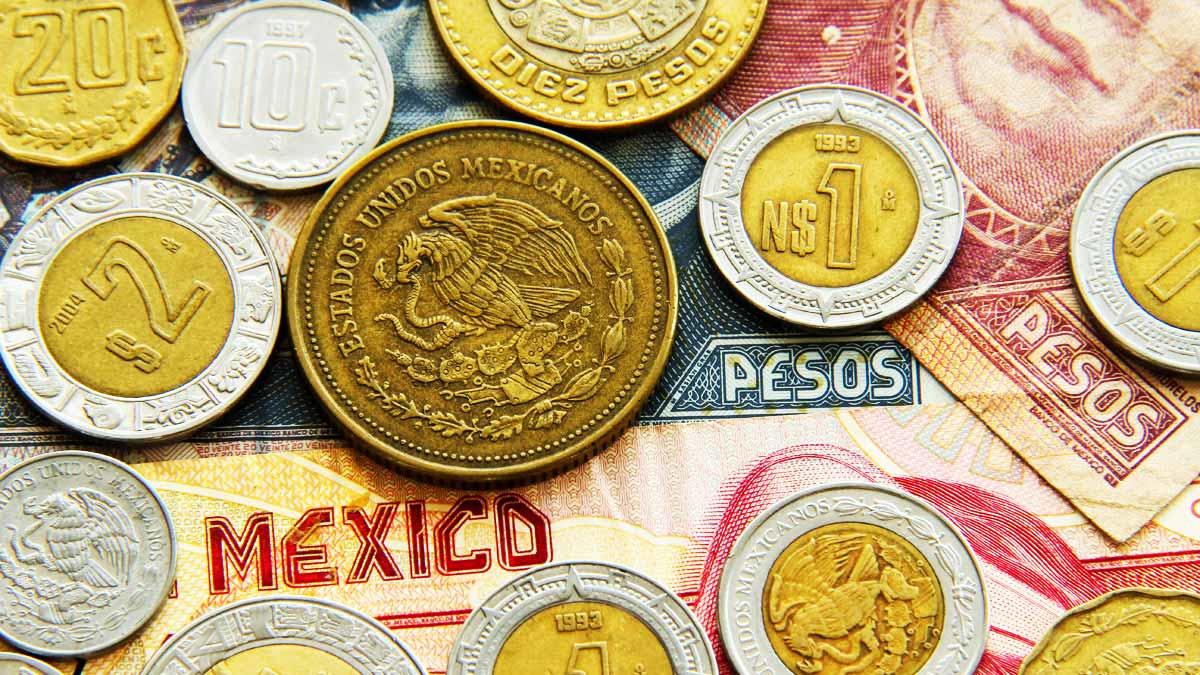 sueldo maestro a domicilio