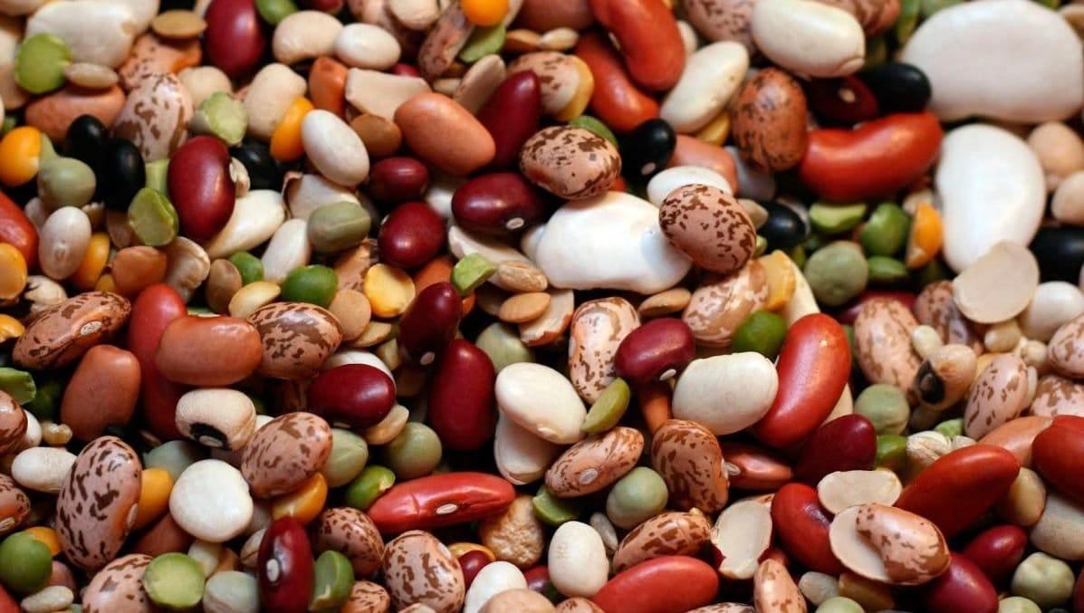 Proteínas para un mejor desempeño deportivo.