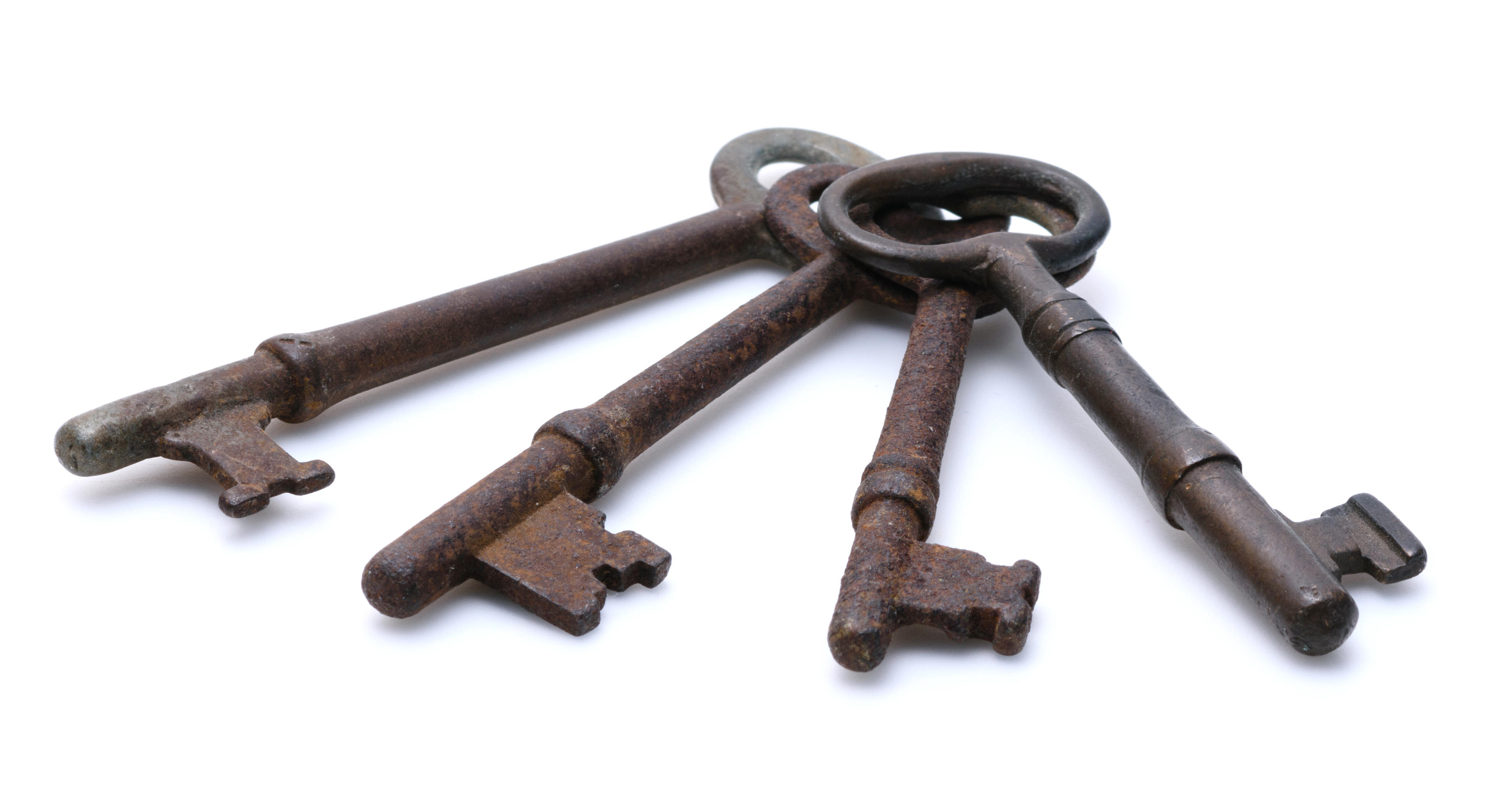 la clave del éxito es una buena formación