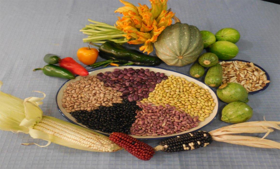 Ingredientes de la milpa