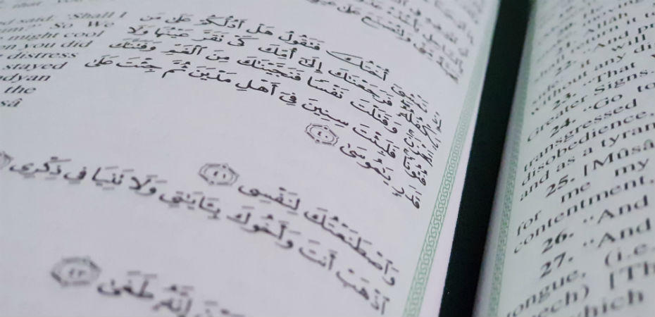 maestros de arabe en mexico