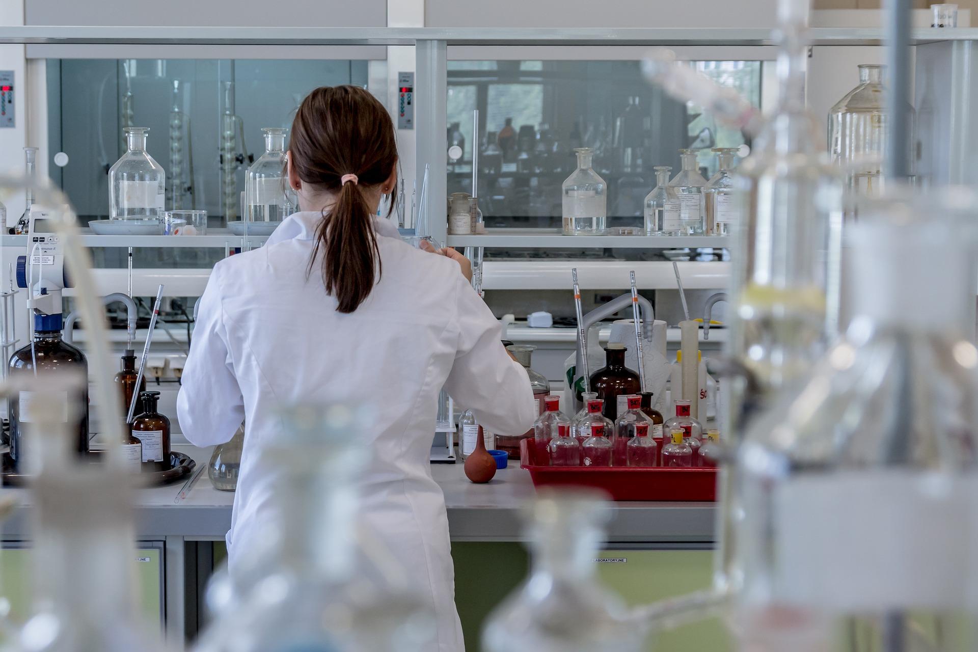 estudiar humanidades o ciencias