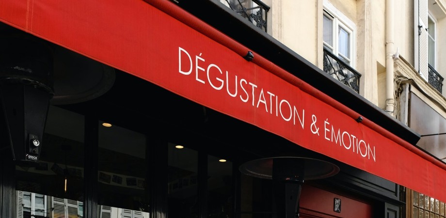 profesor de frances en mexico