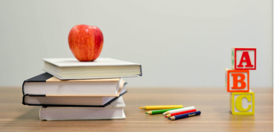 el español en la educacion basica