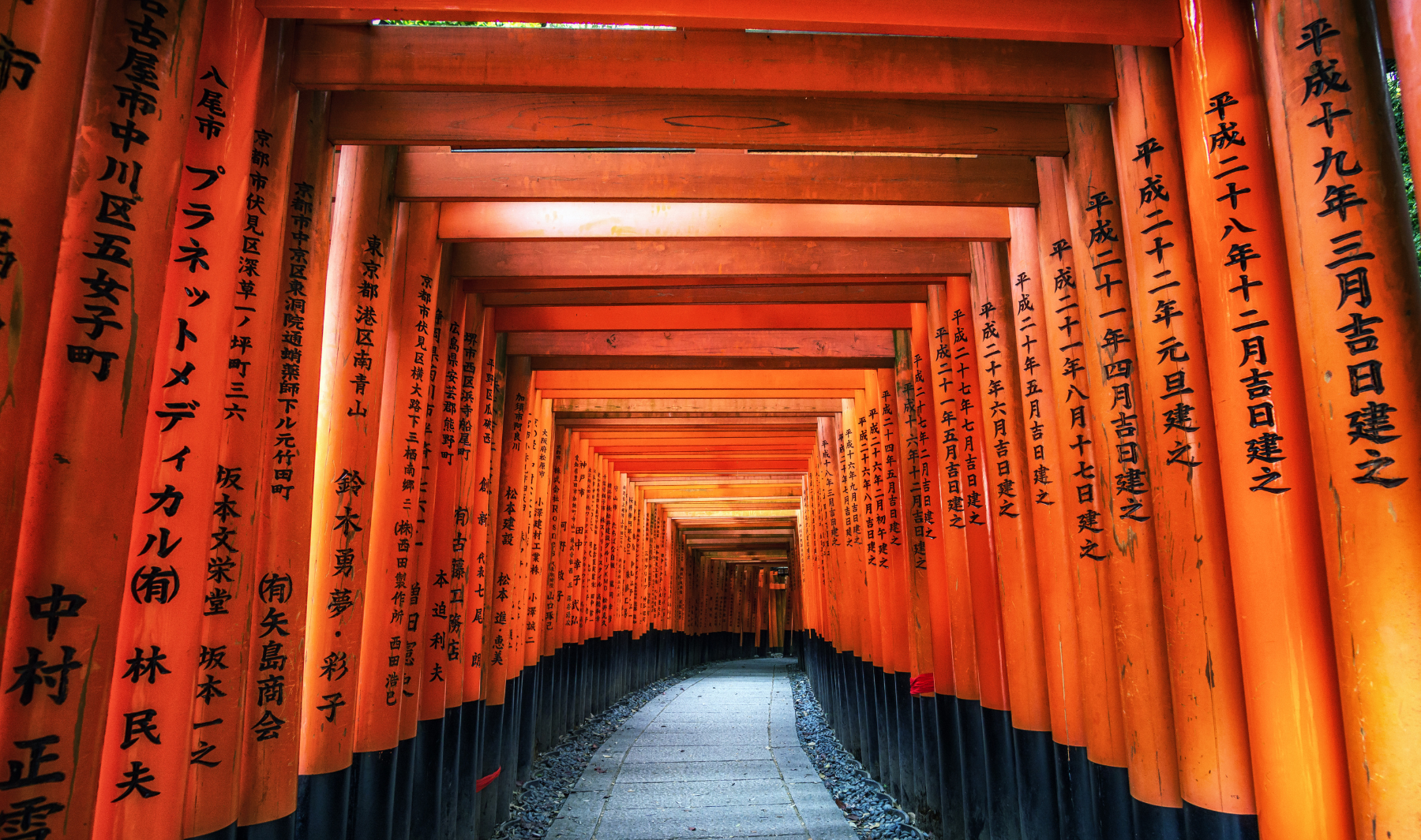 opinion subjetiva miembro