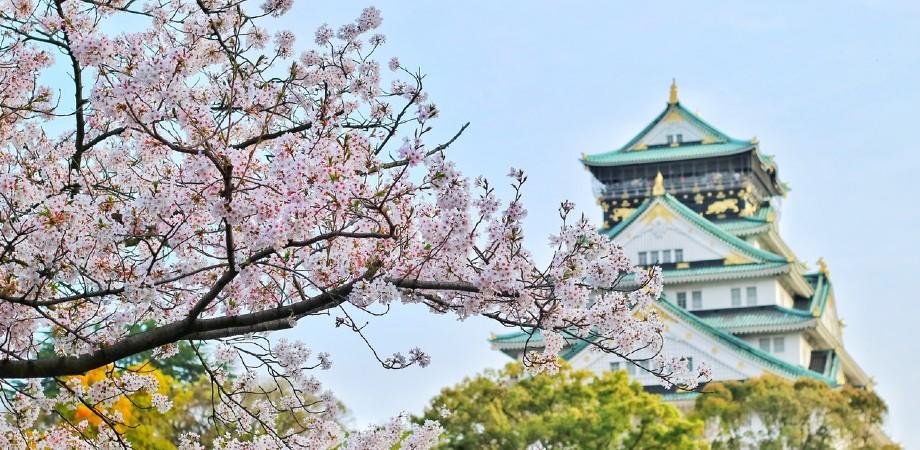 ventajas de aprender japones 