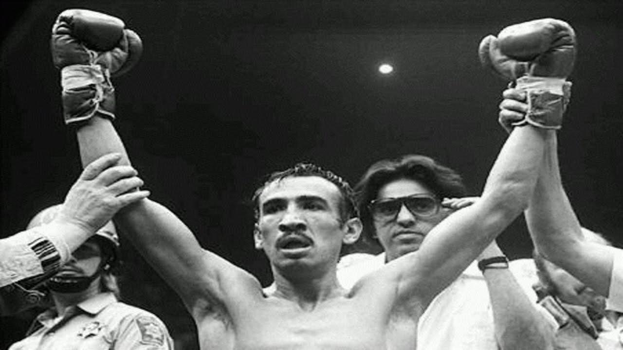 Representantes del boxeo mexicano
