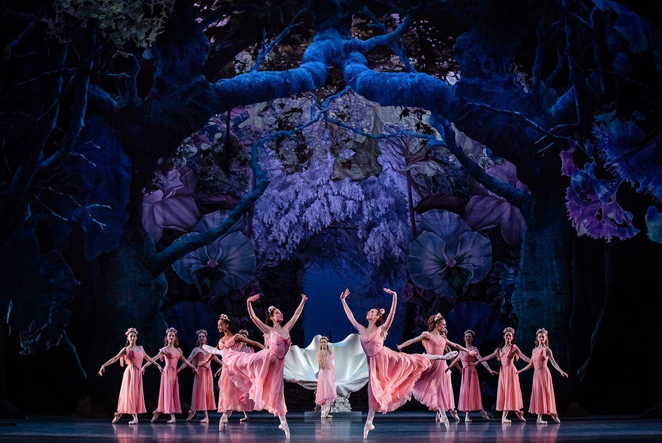 Ballets clasicos
