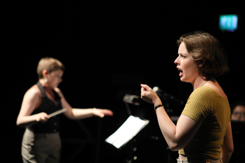 Cantar a nivel profesional