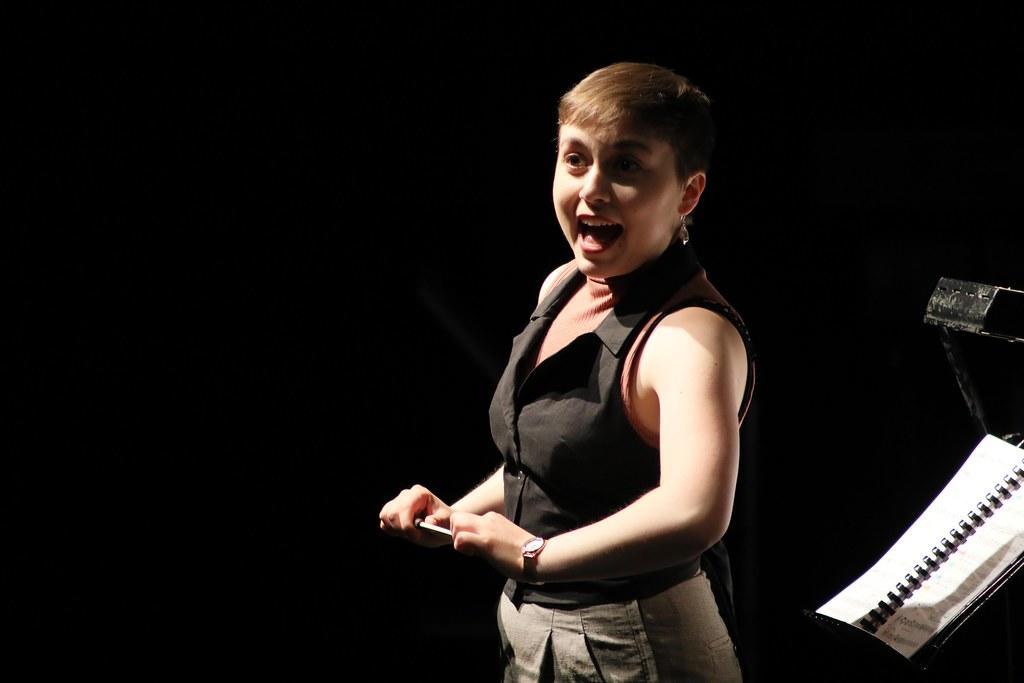 Cantante profesional