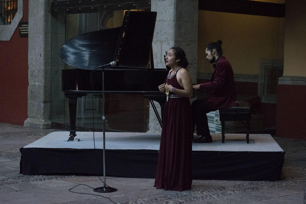 Clases de canto particulares