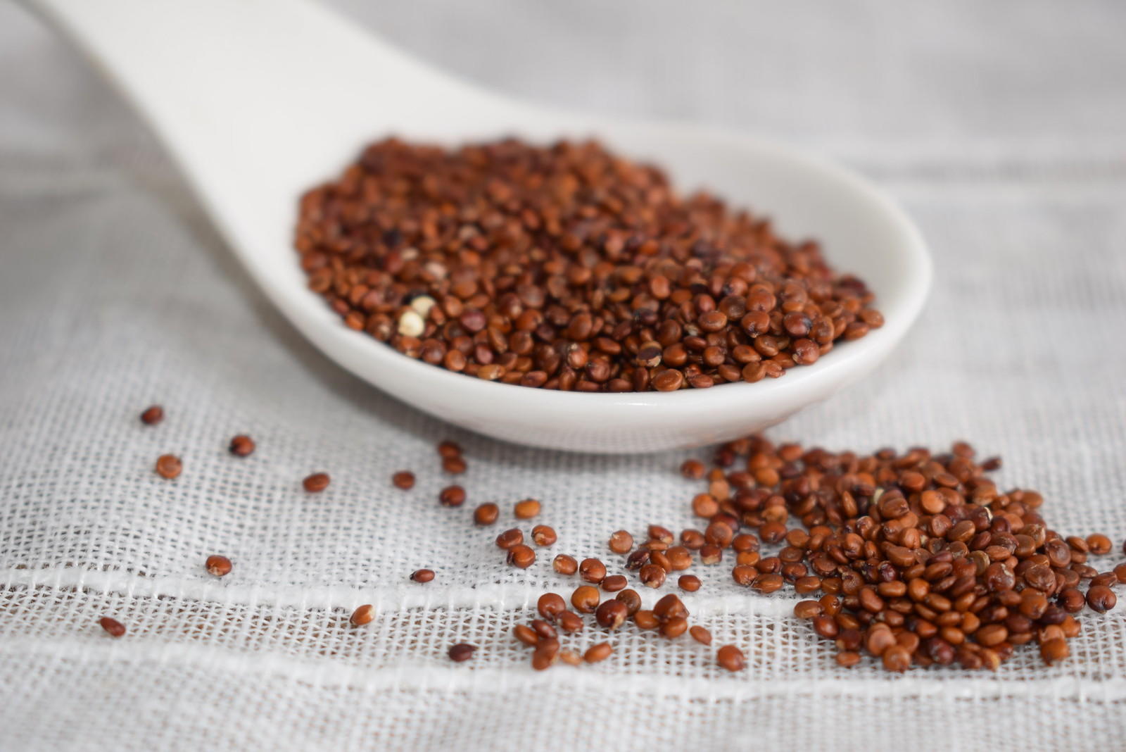 recetas de cocina casera