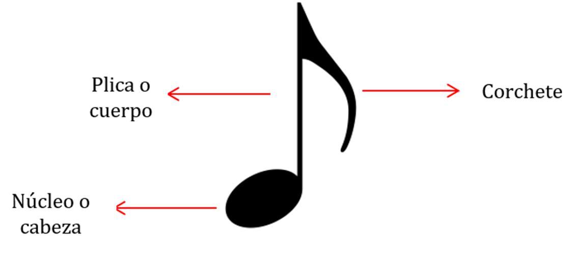 Componentes de una nota musical