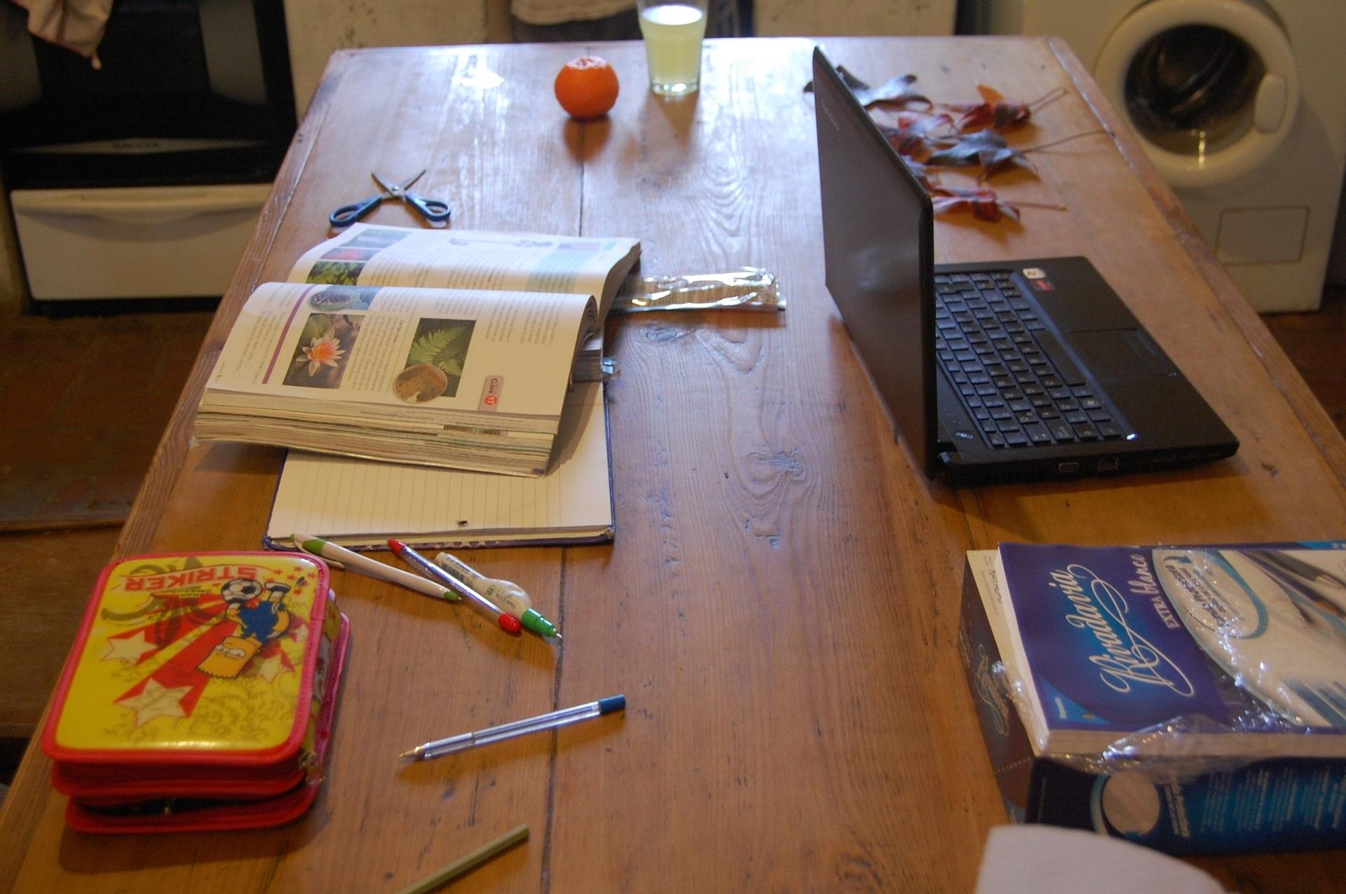 relaciones familiares y educacion