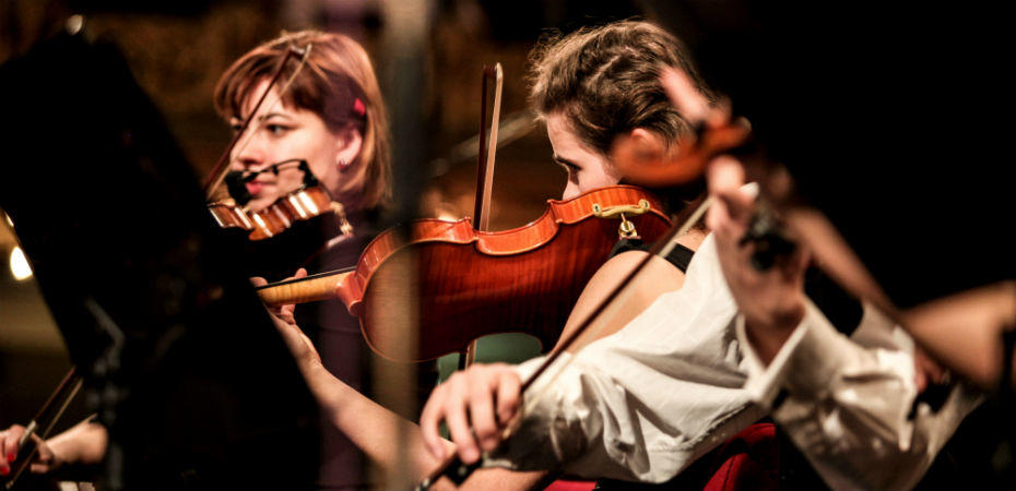 entrar a un conservatorio para estudiar violin