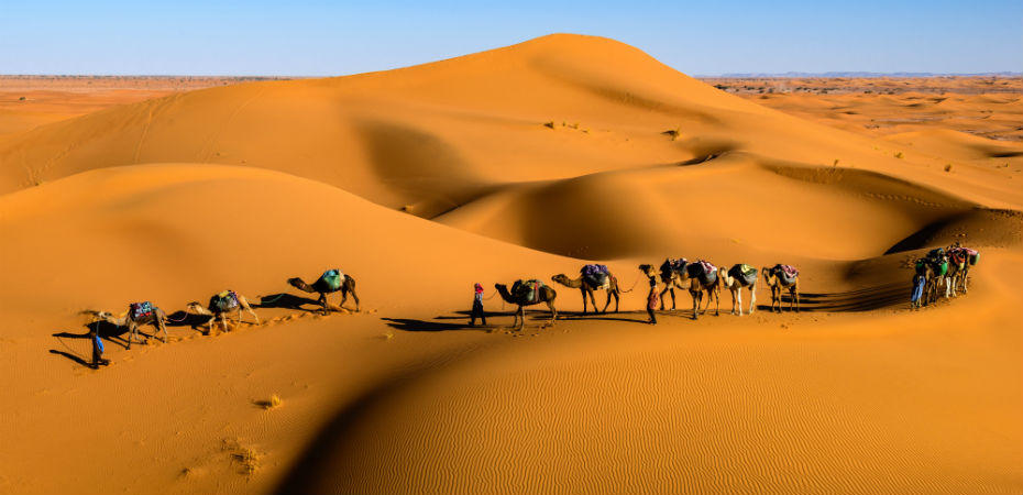 formacion para ser maestro de arabe