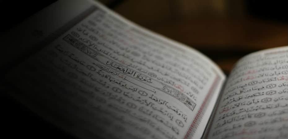 clases de arabe costo