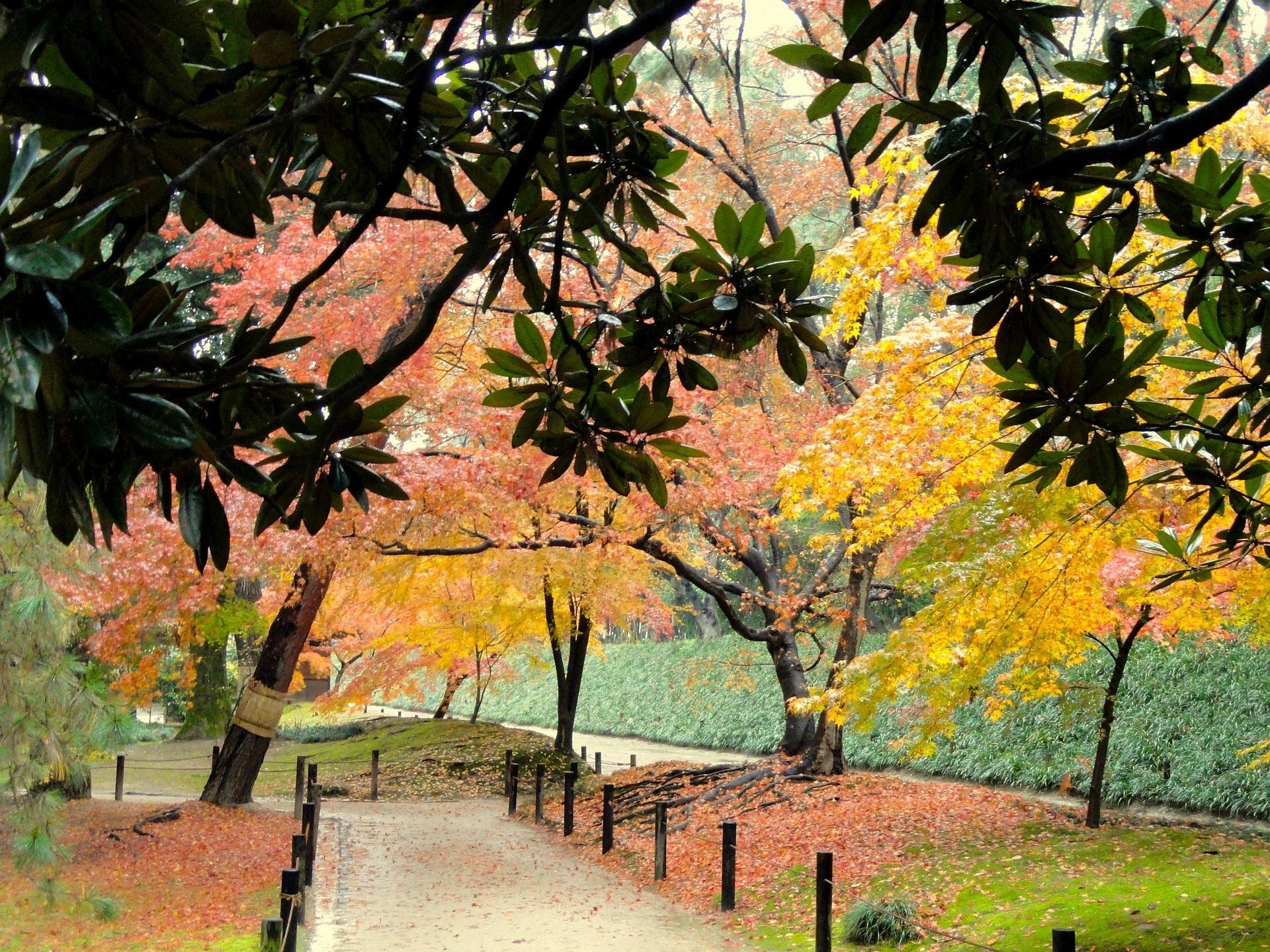 Japón, ideal para vivir