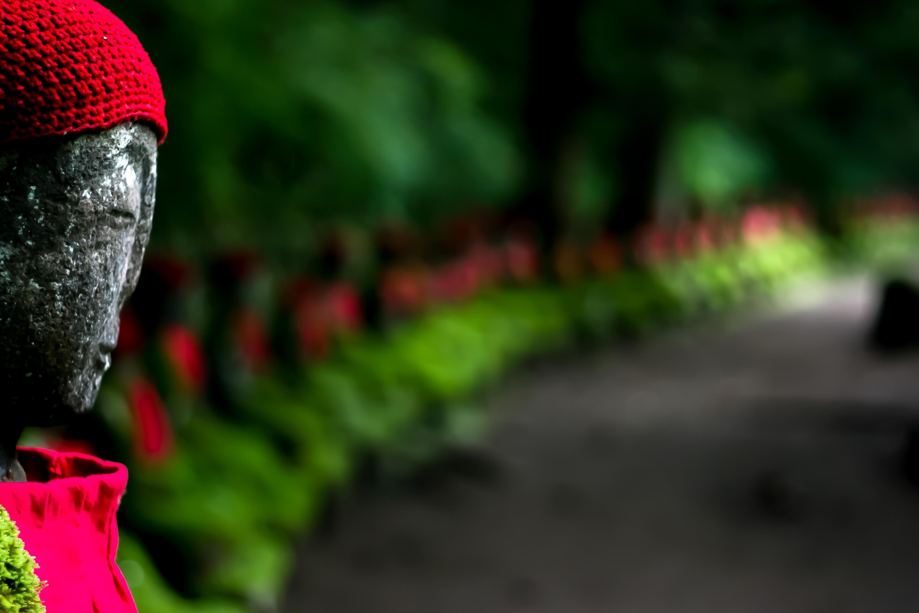 Visitar Japón