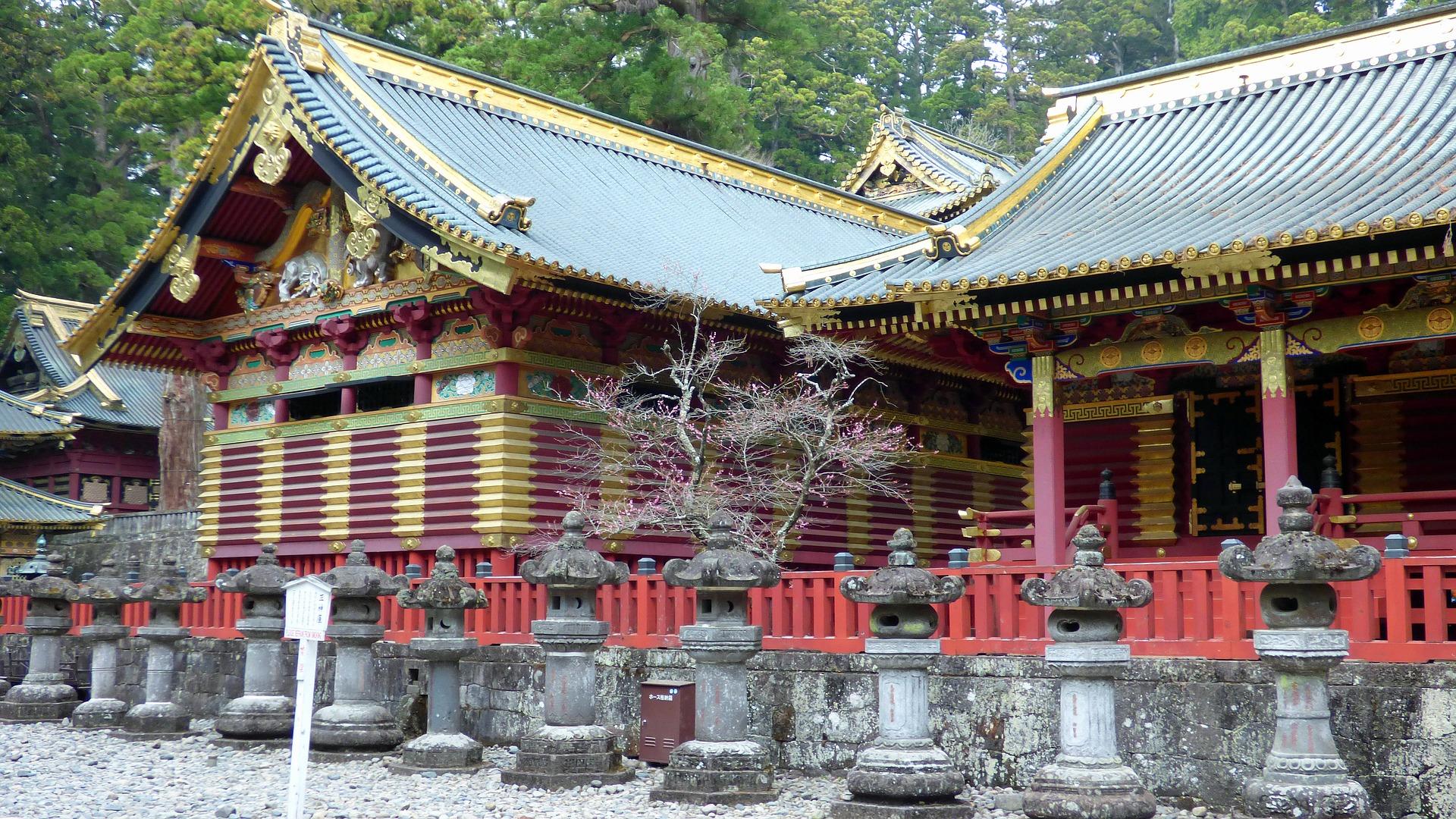 Imperdibles de Tokio