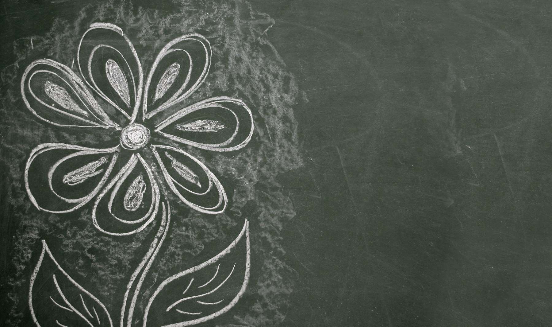 flores dibujar rosas