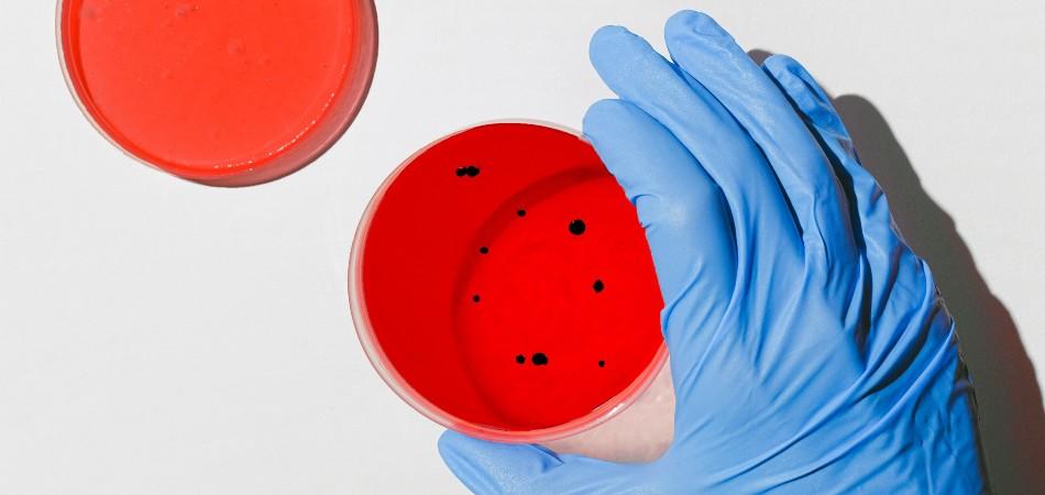 para que nos sirve la biologia