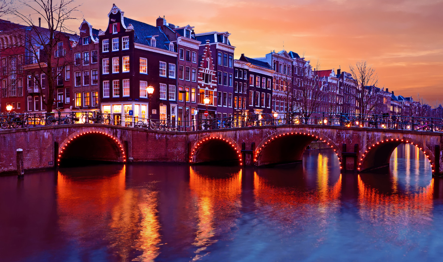 microsoft guido rossum