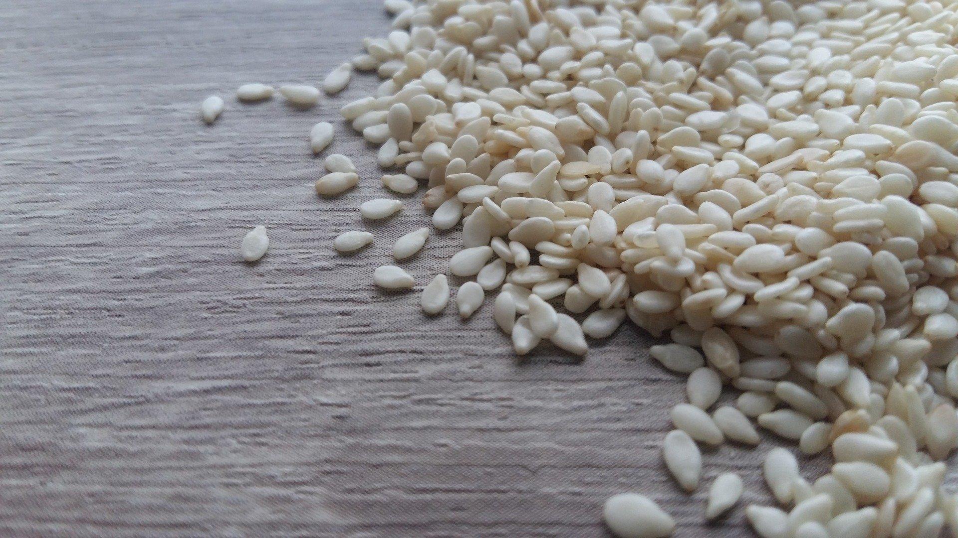 Recetas veganas