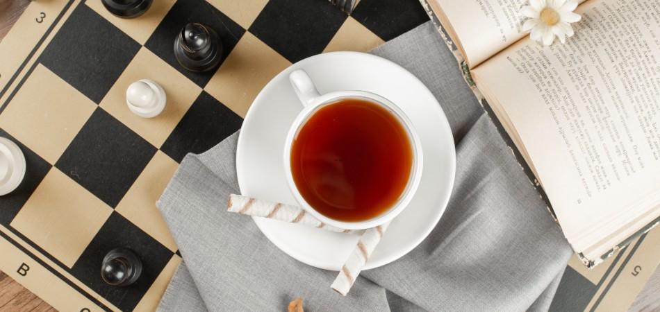 profesores particulares de ajedrez