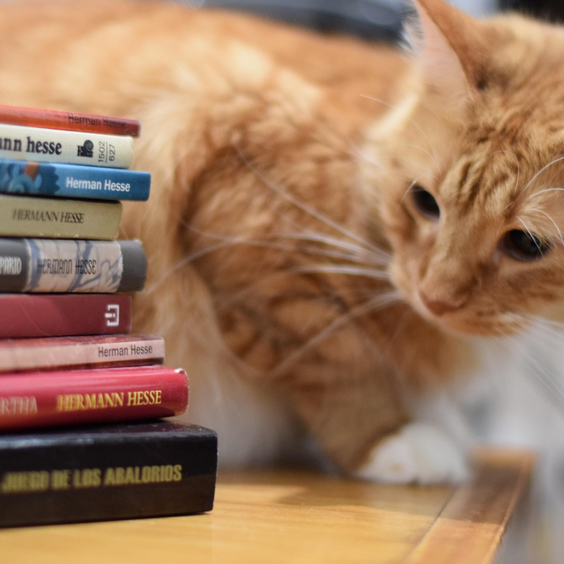 libros en aleman