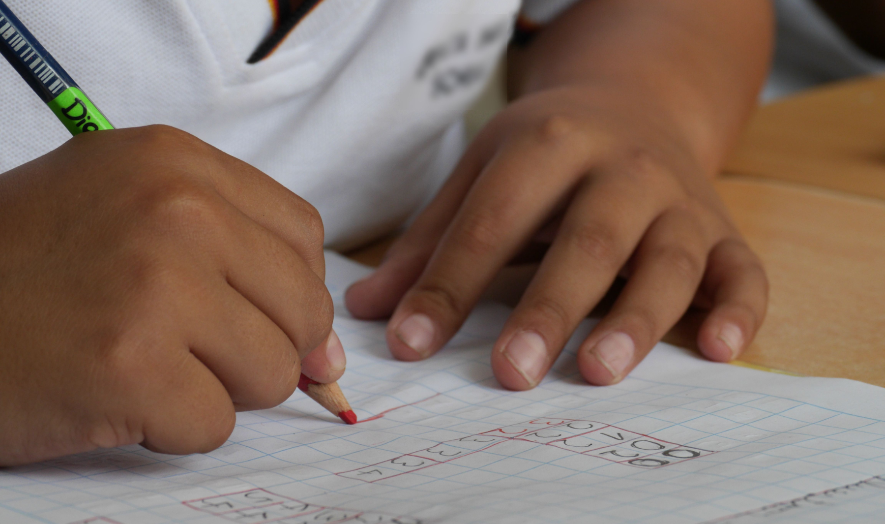 cognicion aprendizaje escolar