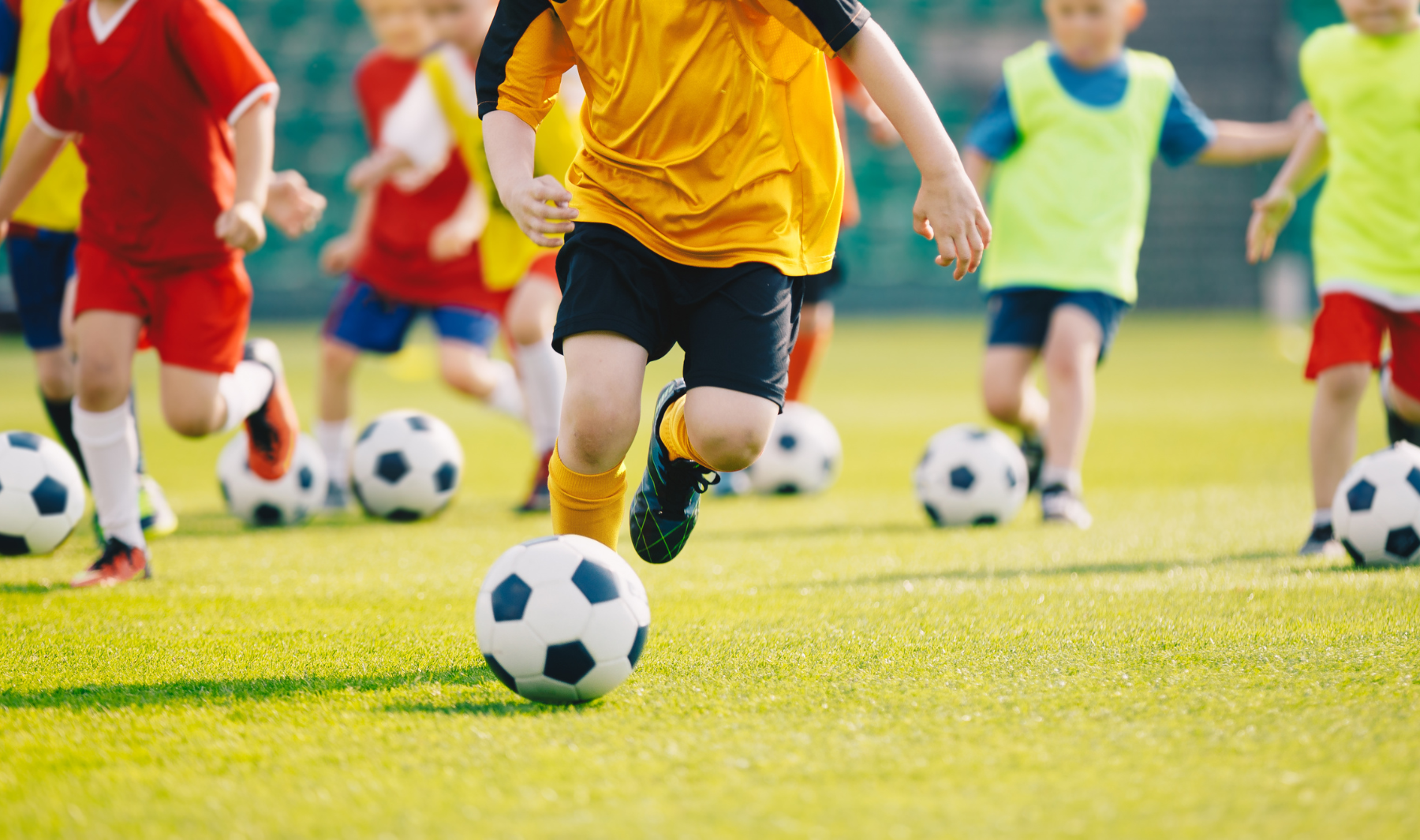 visorias tigres realiza