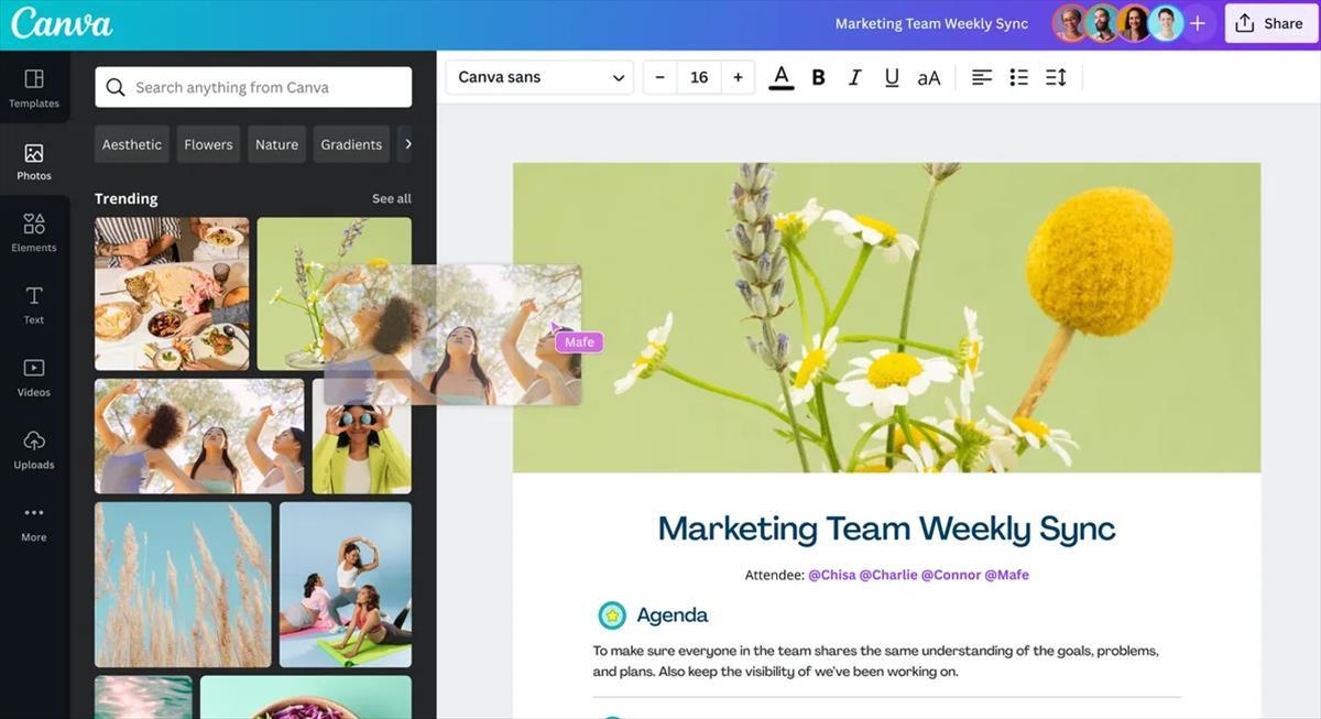 programa canva