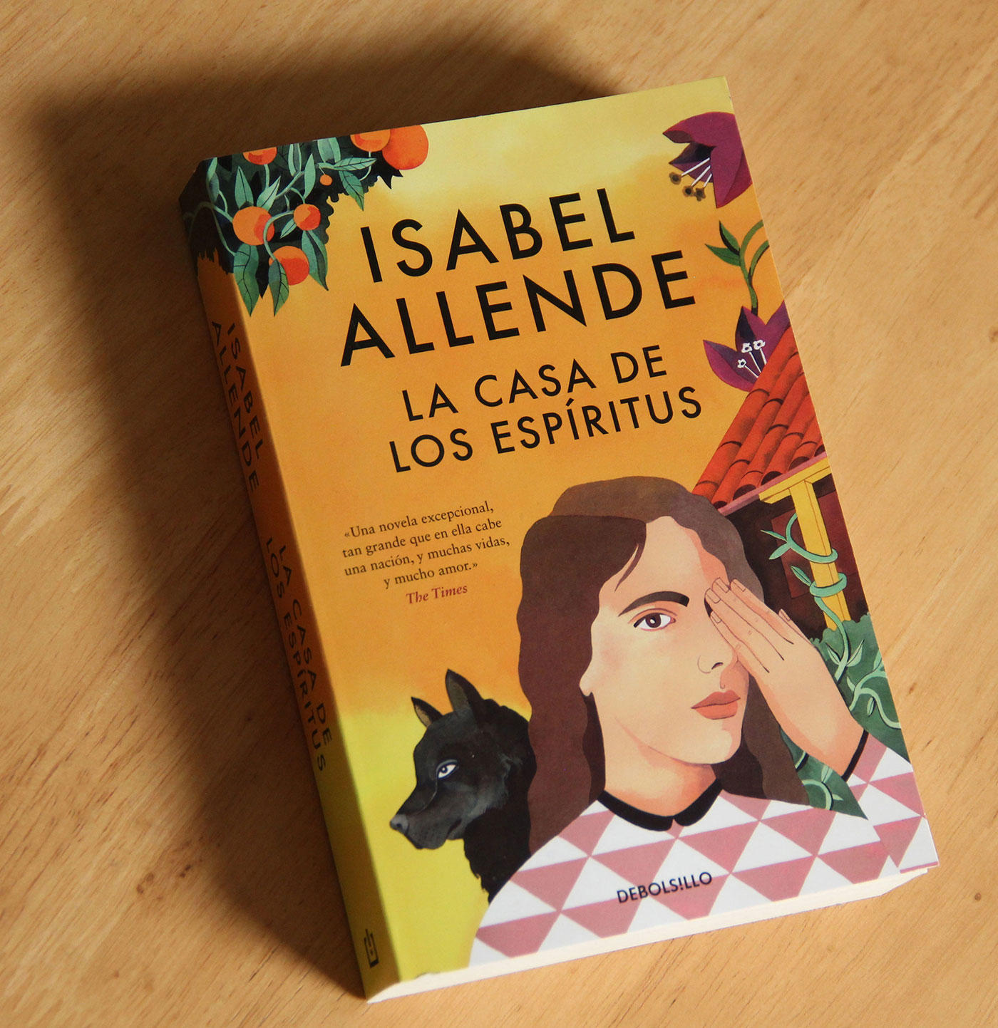 libro de Isabel Allende