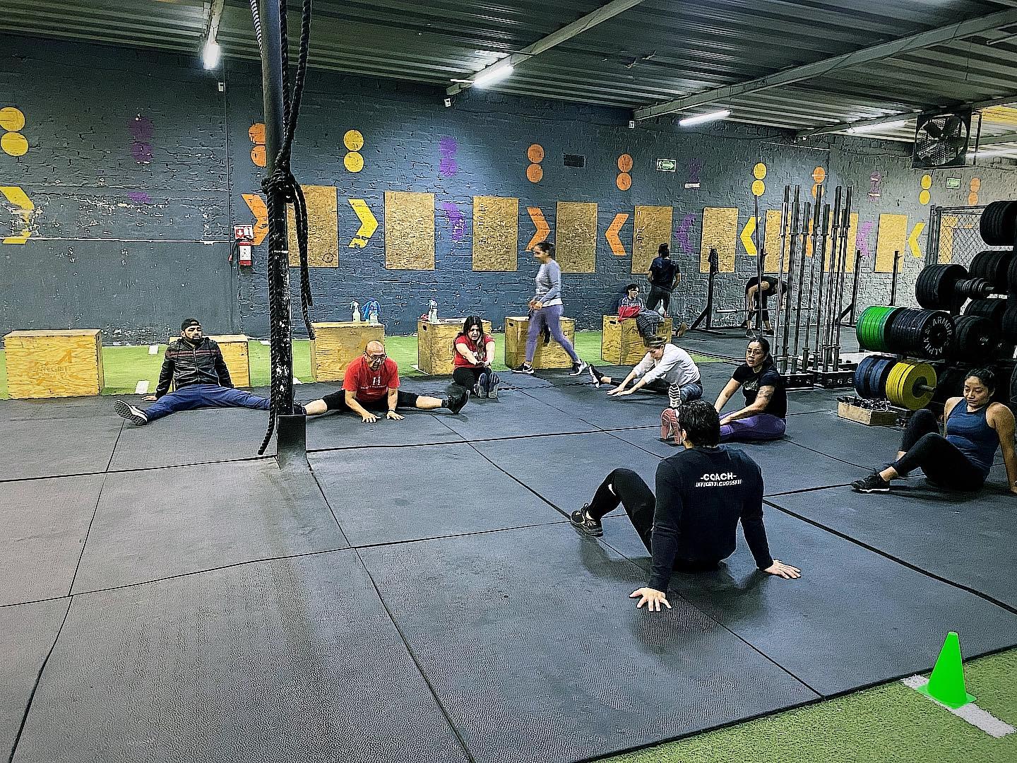 gimnasios gdl