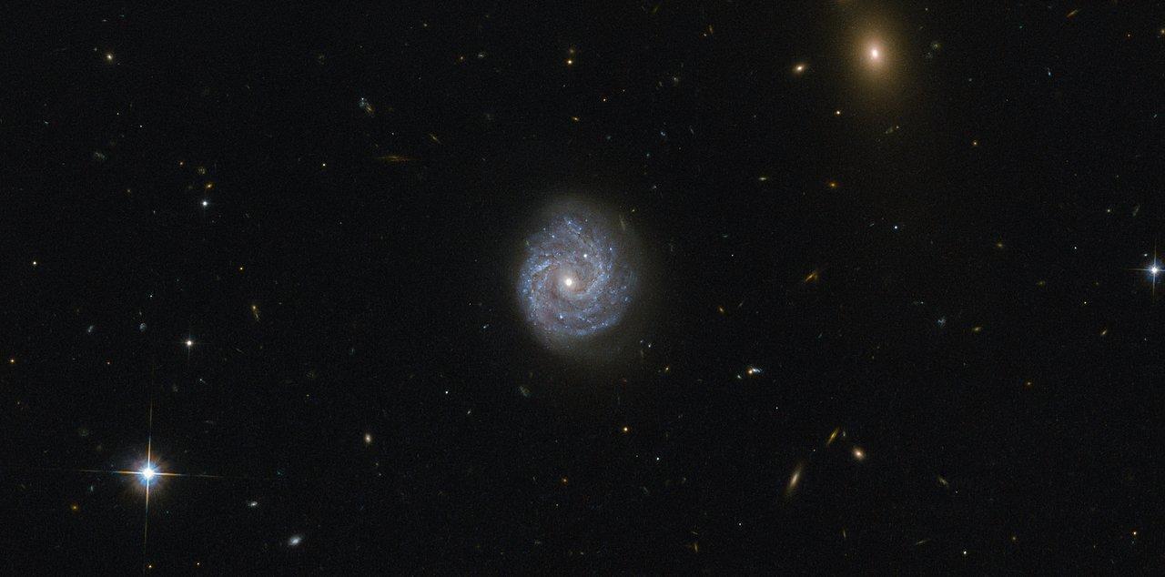Ciclo estrella