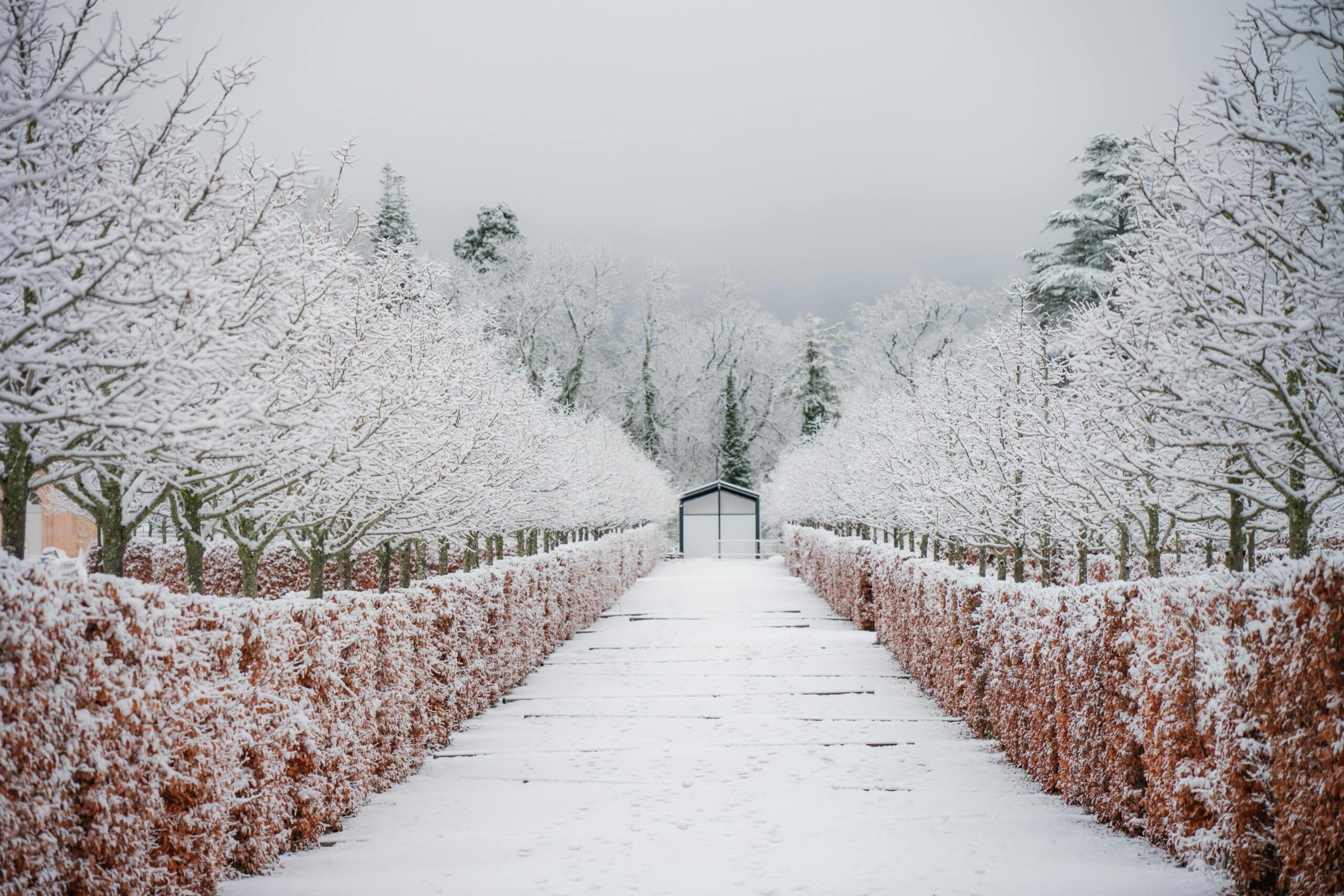 Estacion de invierno donde usualmente neva