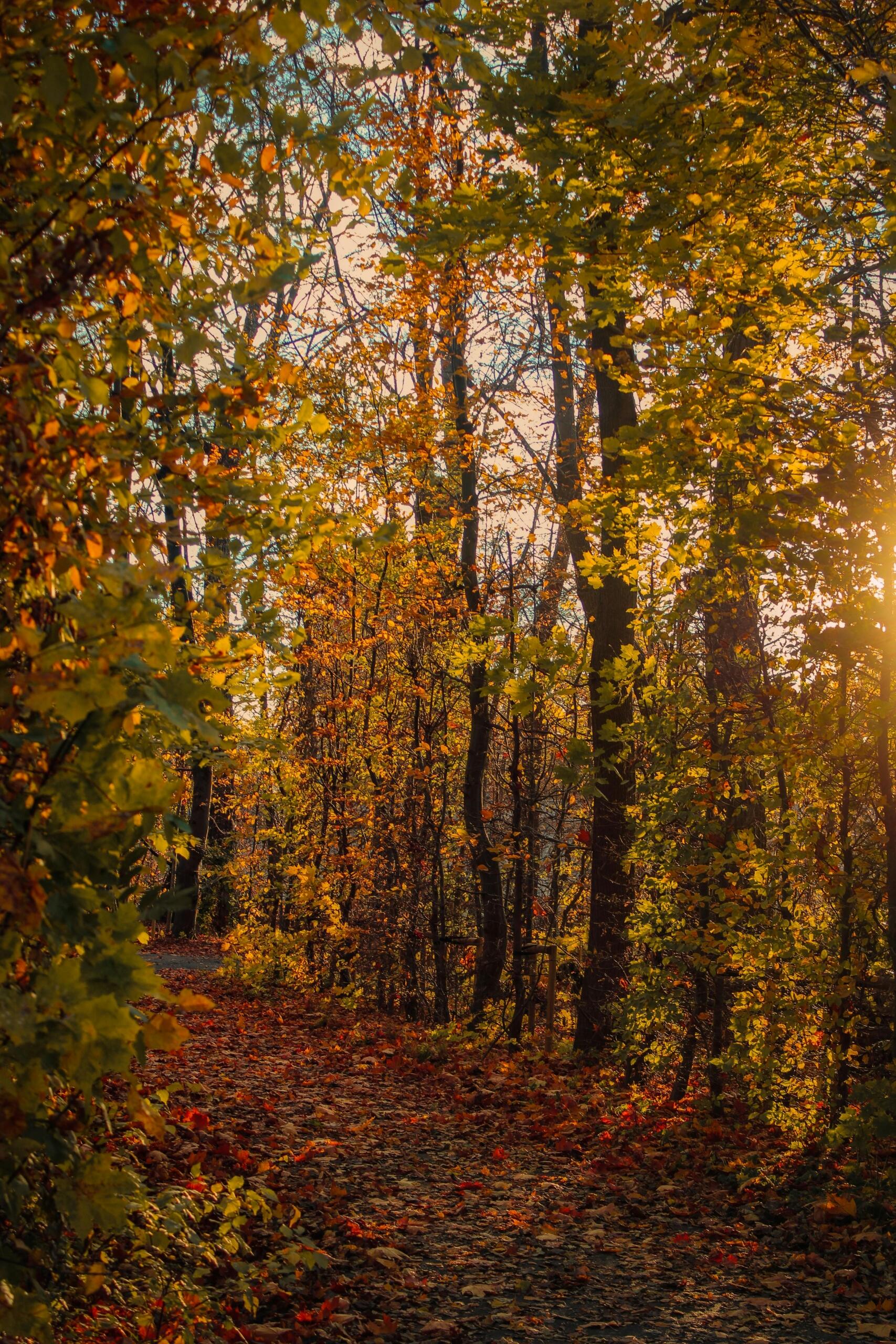 Otoño es una de las épocas más coloridas del año