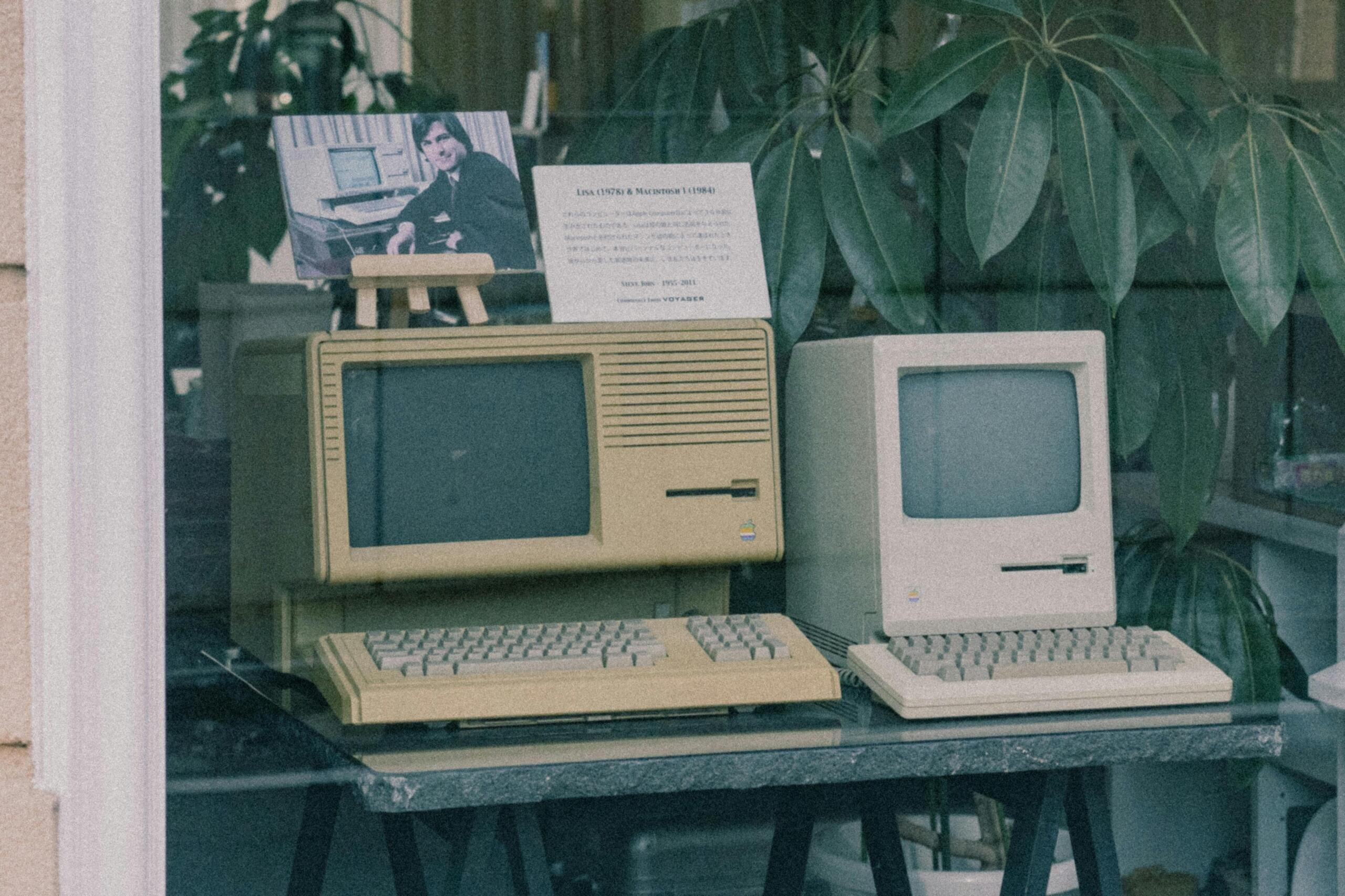 Historia de la programación