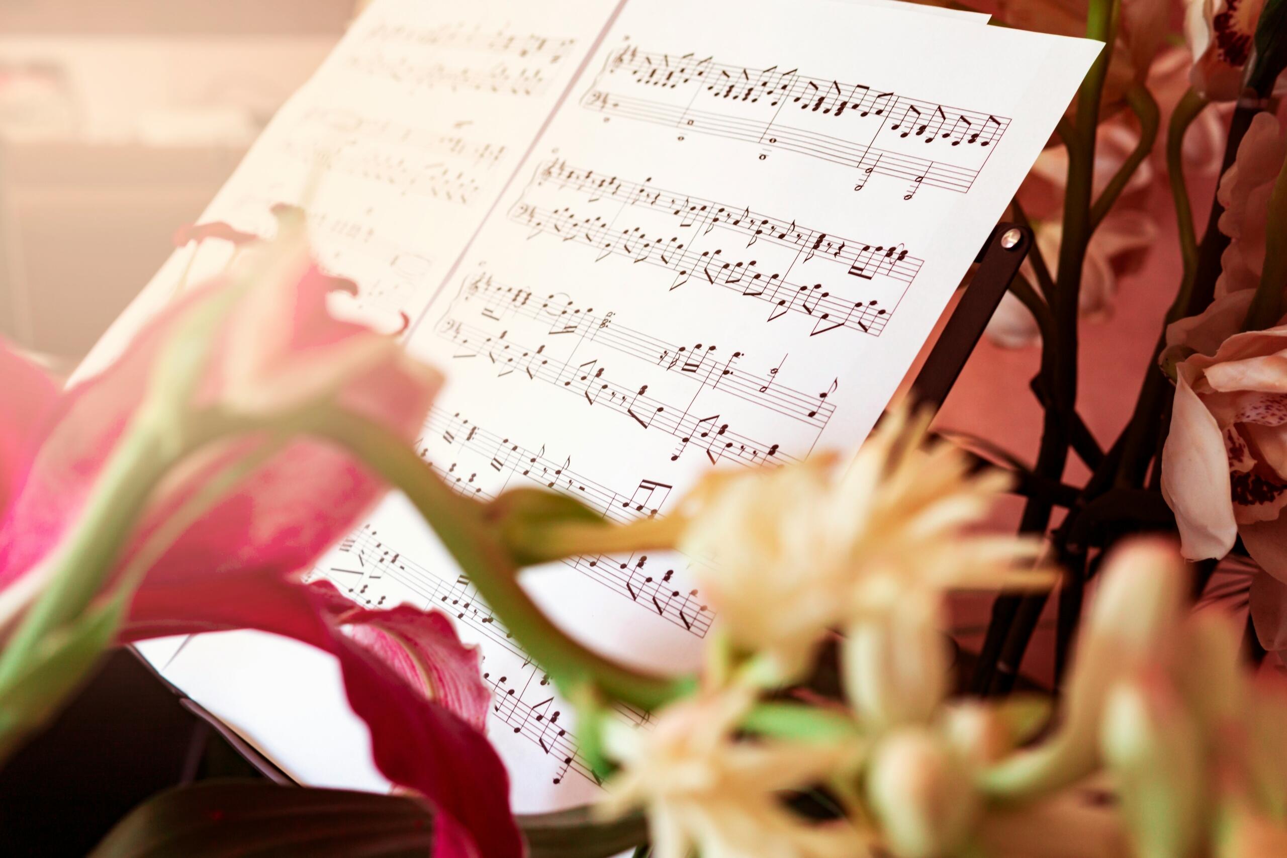 A close-up of sheet music on a stand, surrounded by soft pink and cream flowers in warm natural light.