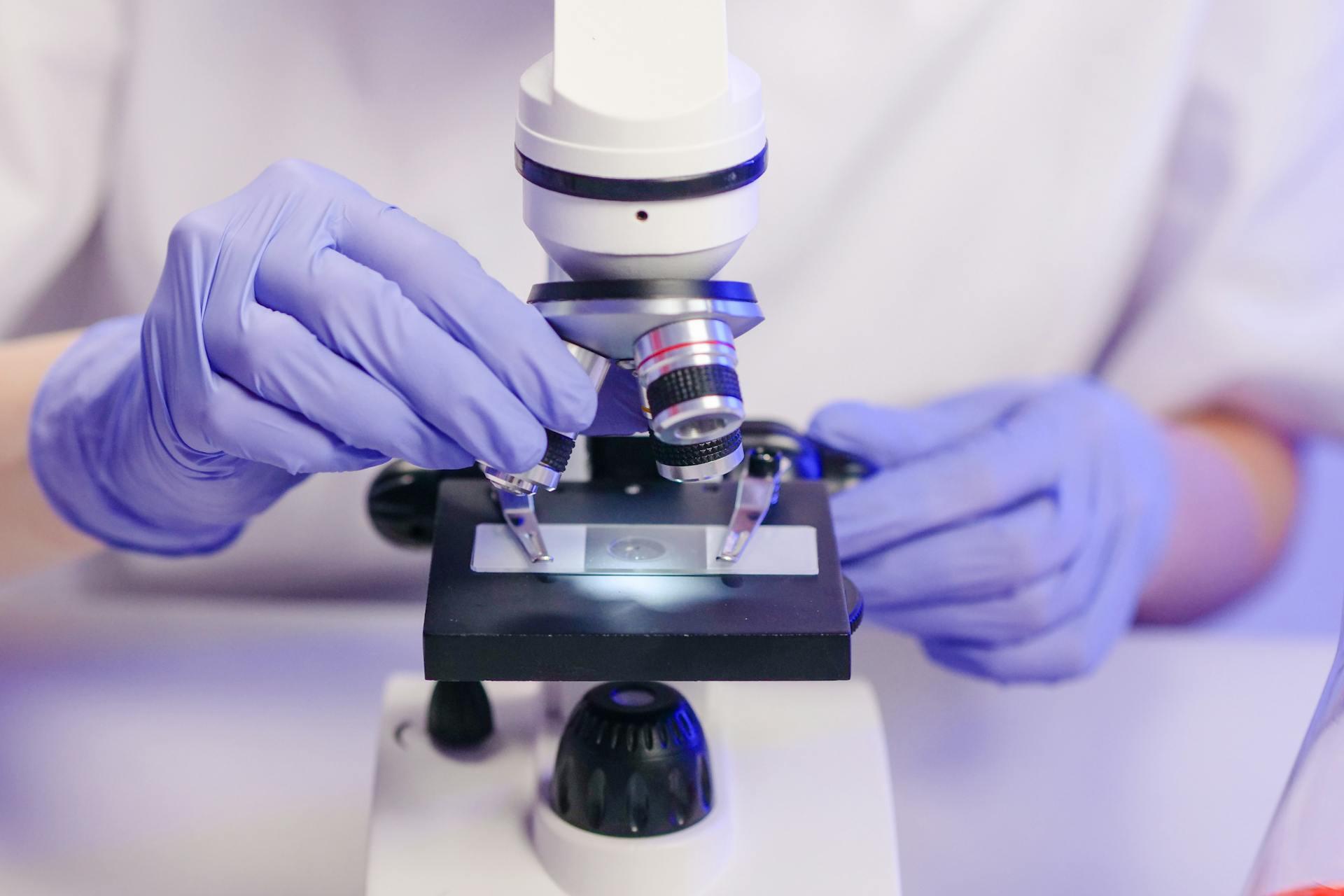 close-up view of a person examining a microscope slide