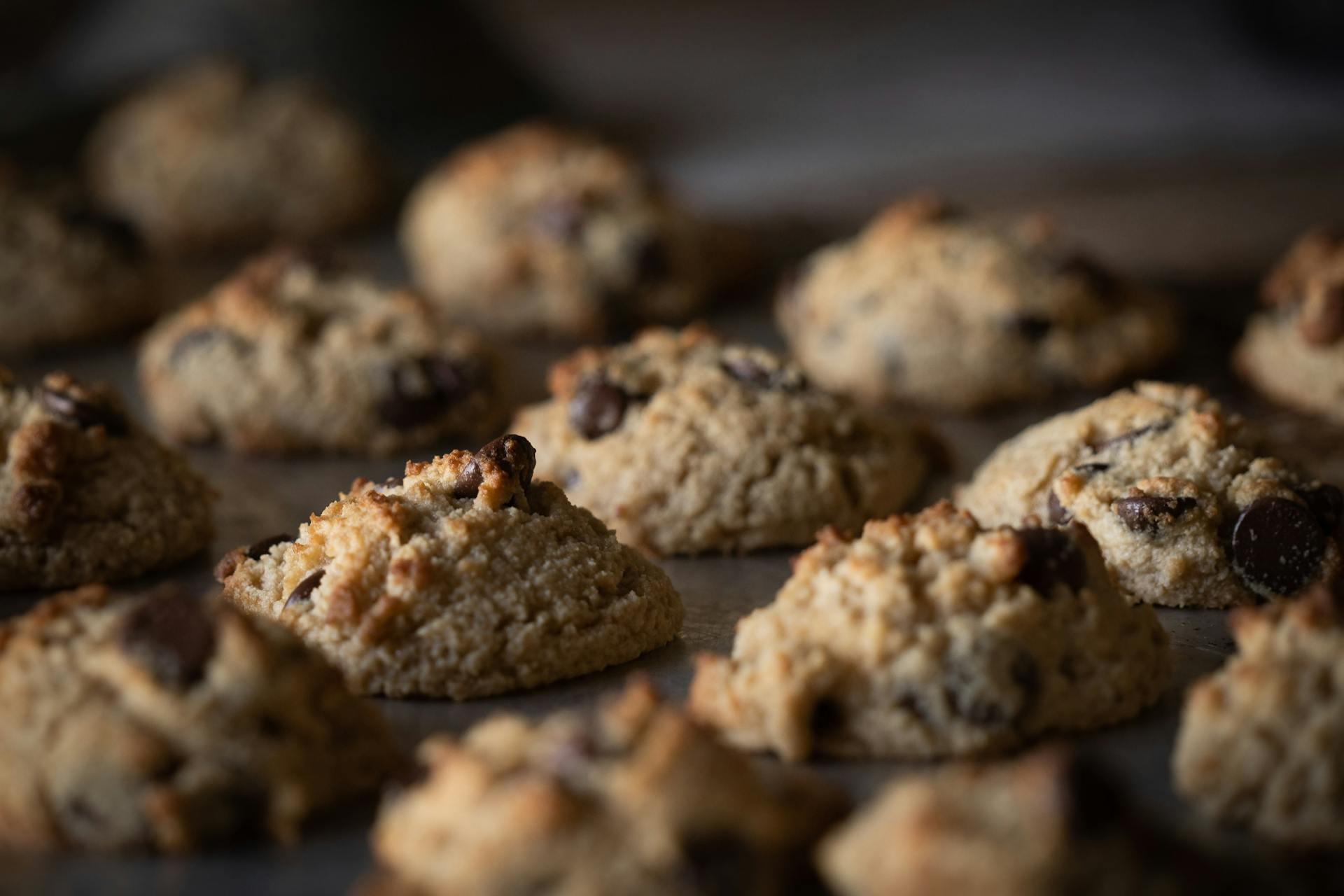 Close-up of freshly baked chocolate chip cookies on a baking tray. They have a golden-brown color, creating a warm and inviting atmosphere.