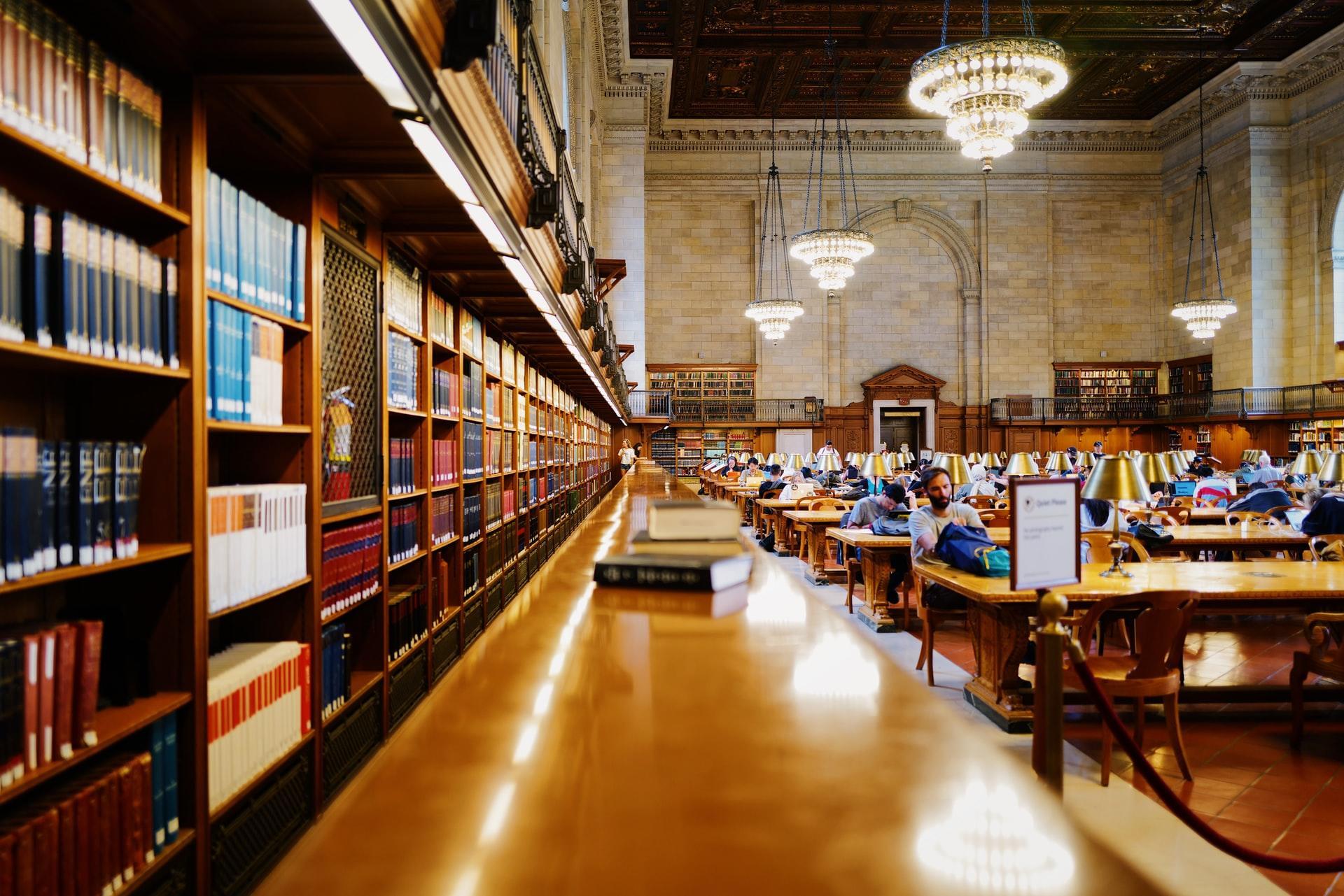 people studying in a library