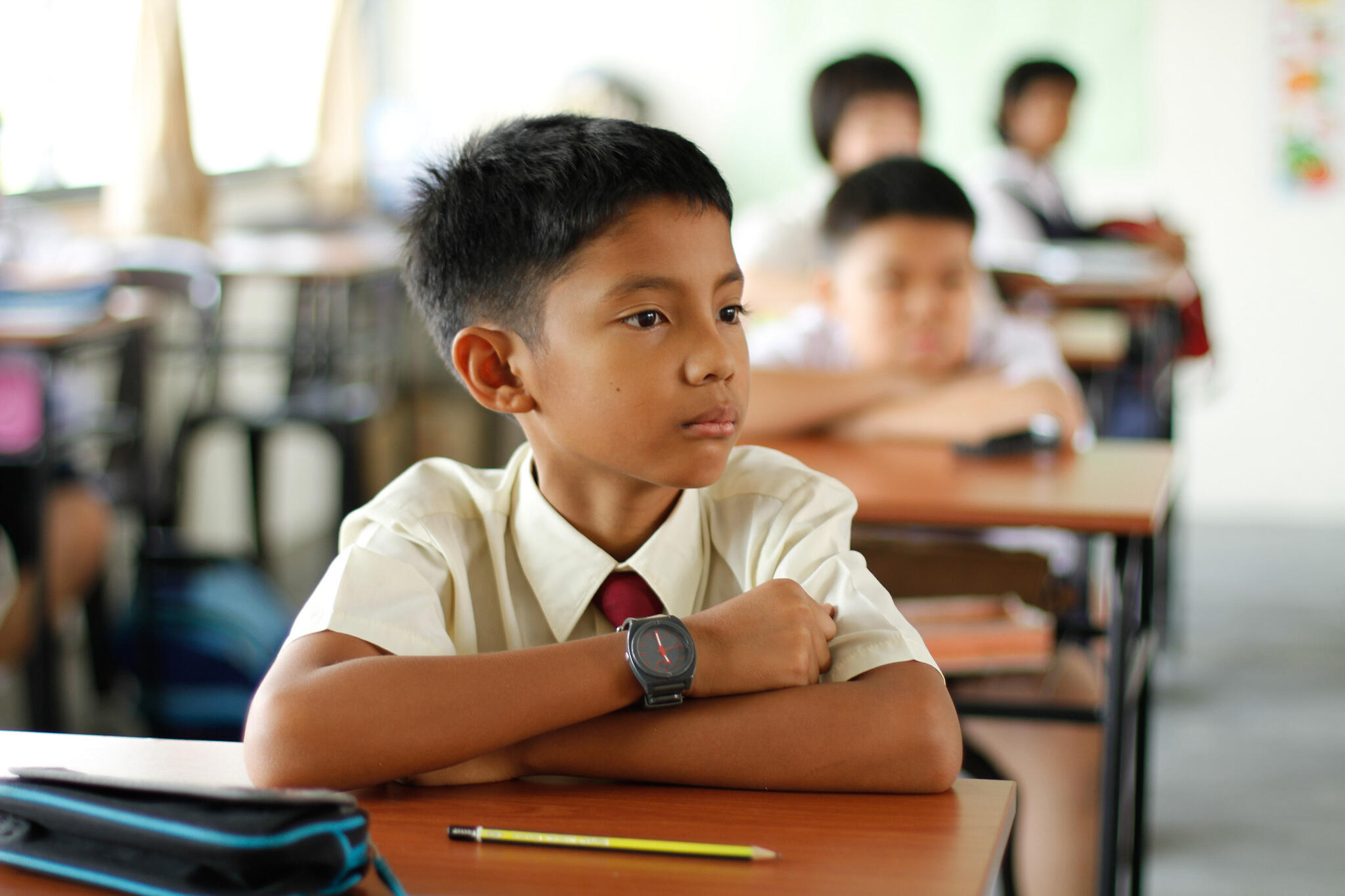 A schoolboy sitting at his desk