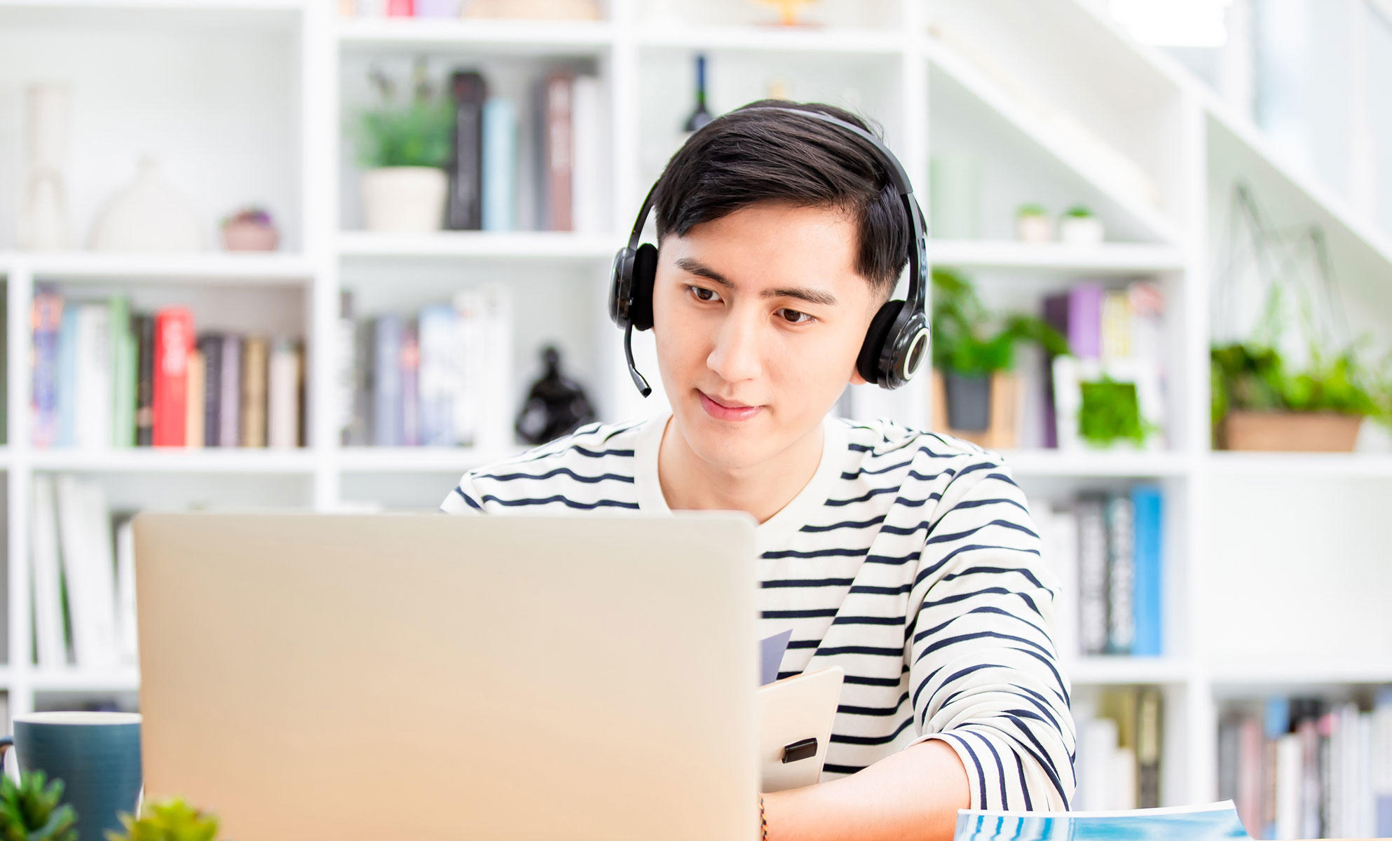 Study accounting degree in Malaysia