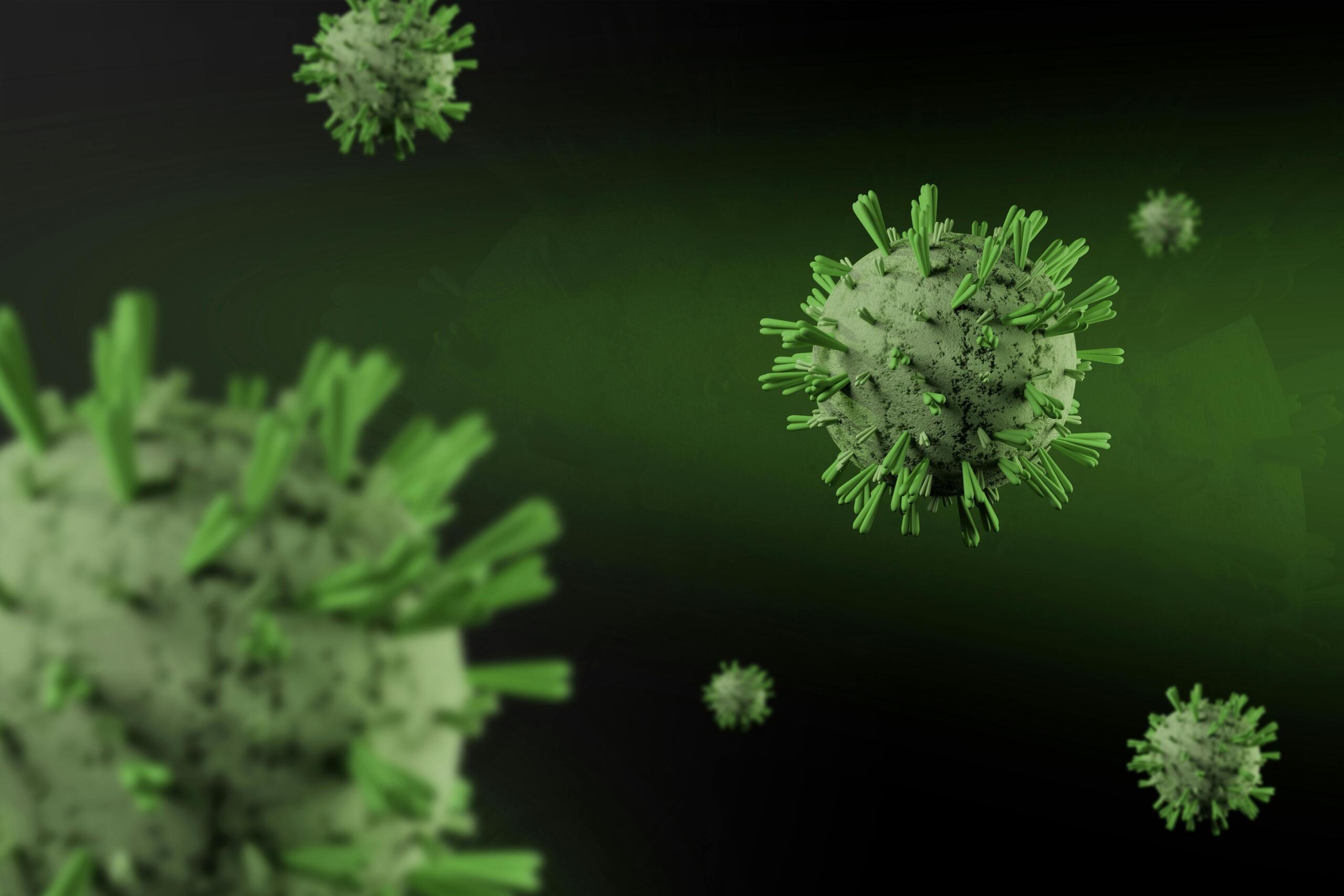 A close-up photo of the Coronavirus