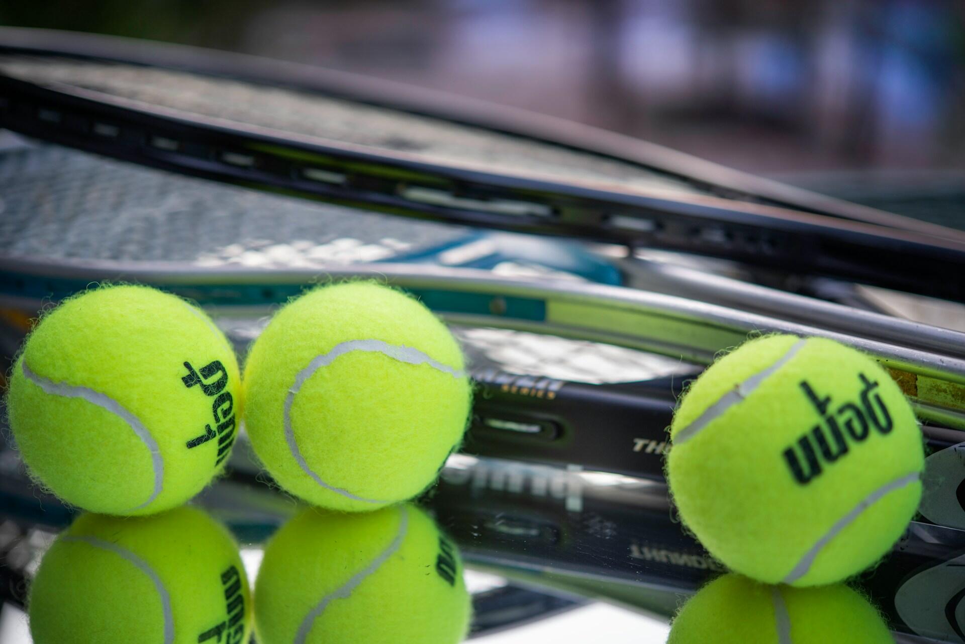 Tennis balls sitting on tennis racket strings with other rackets in background.